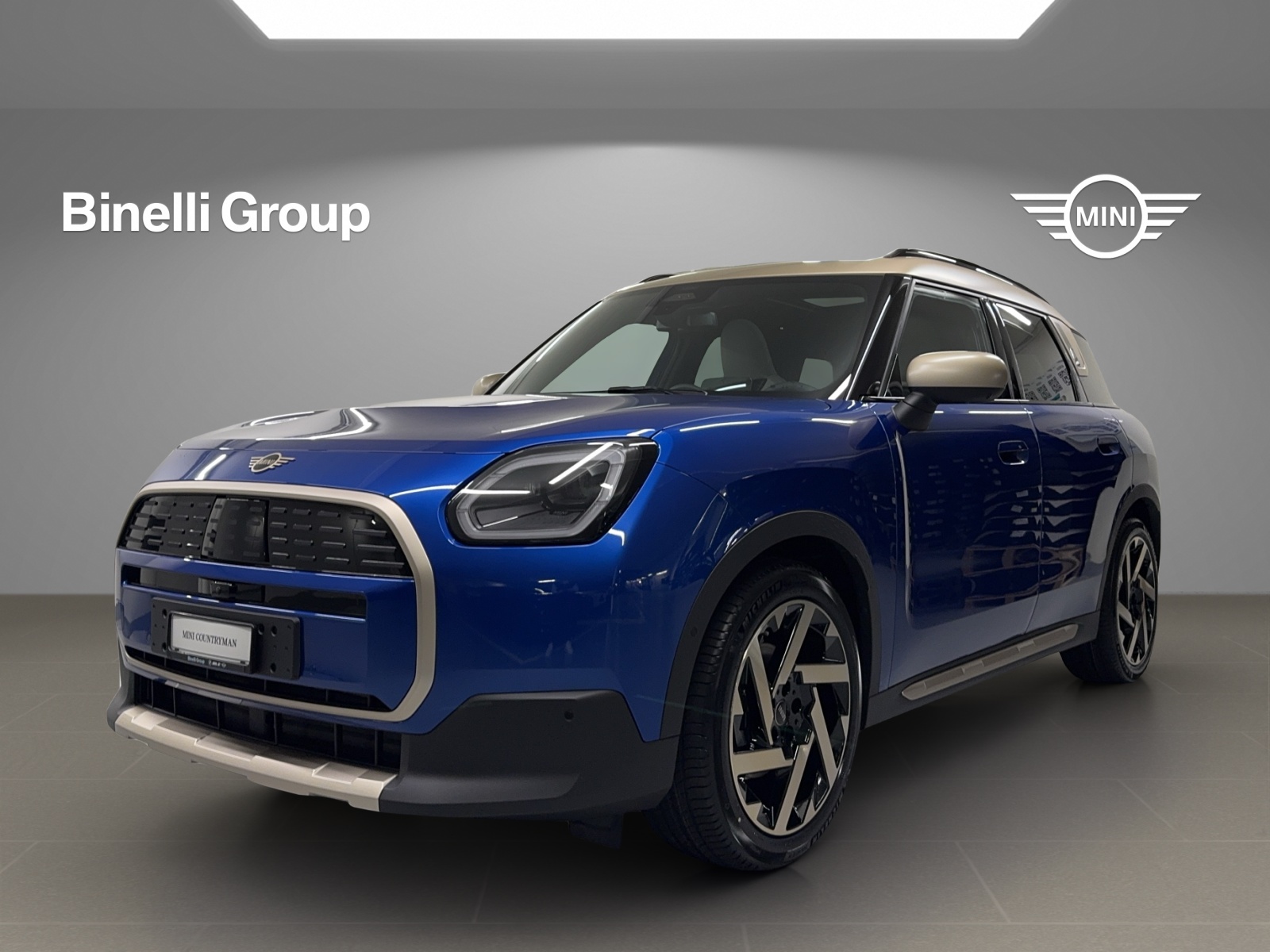 Mini Countryman E