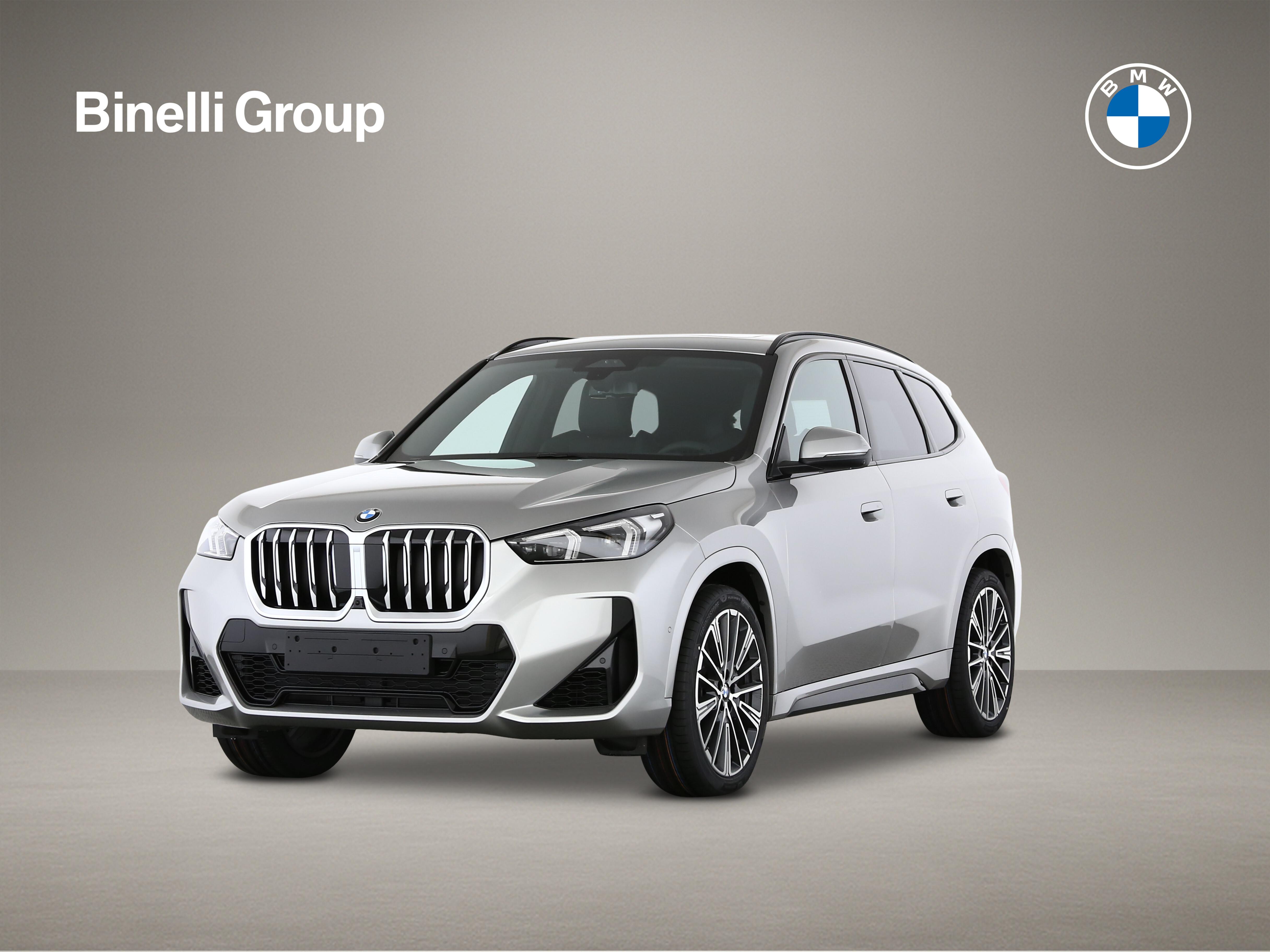 X1 23i xDrive paddles