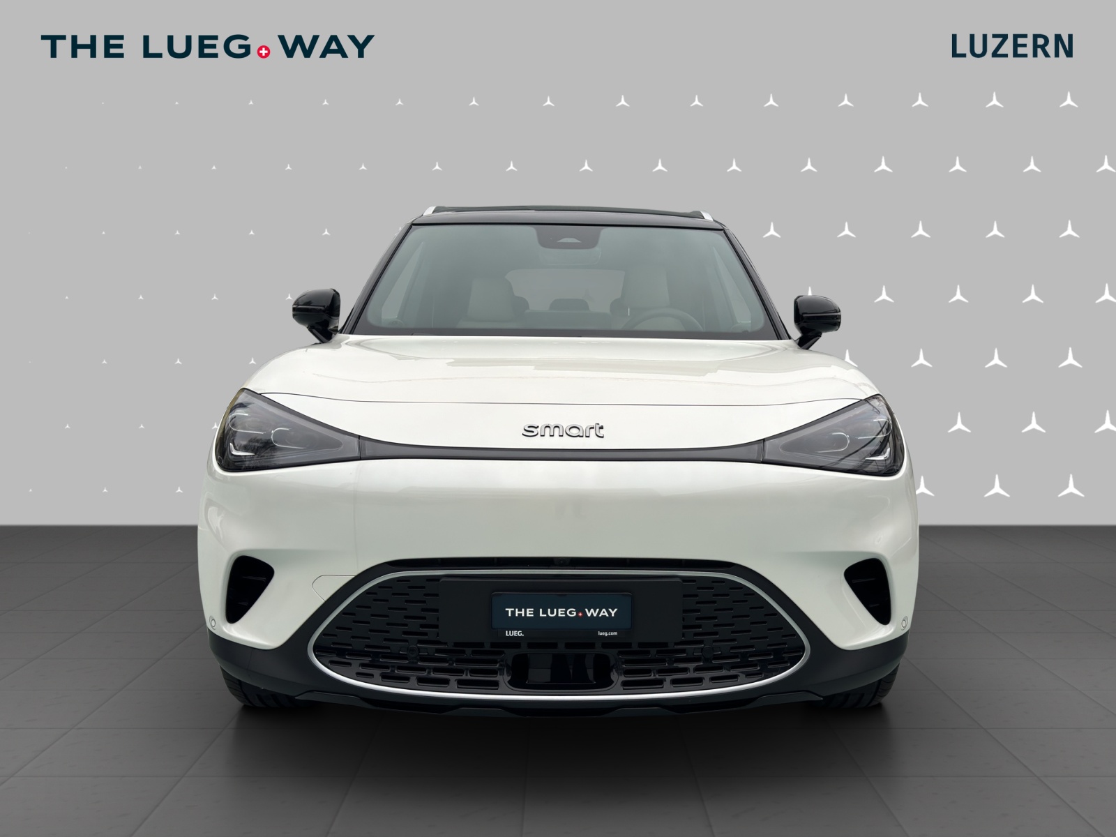 SMART #1 66kWh Premium - 7