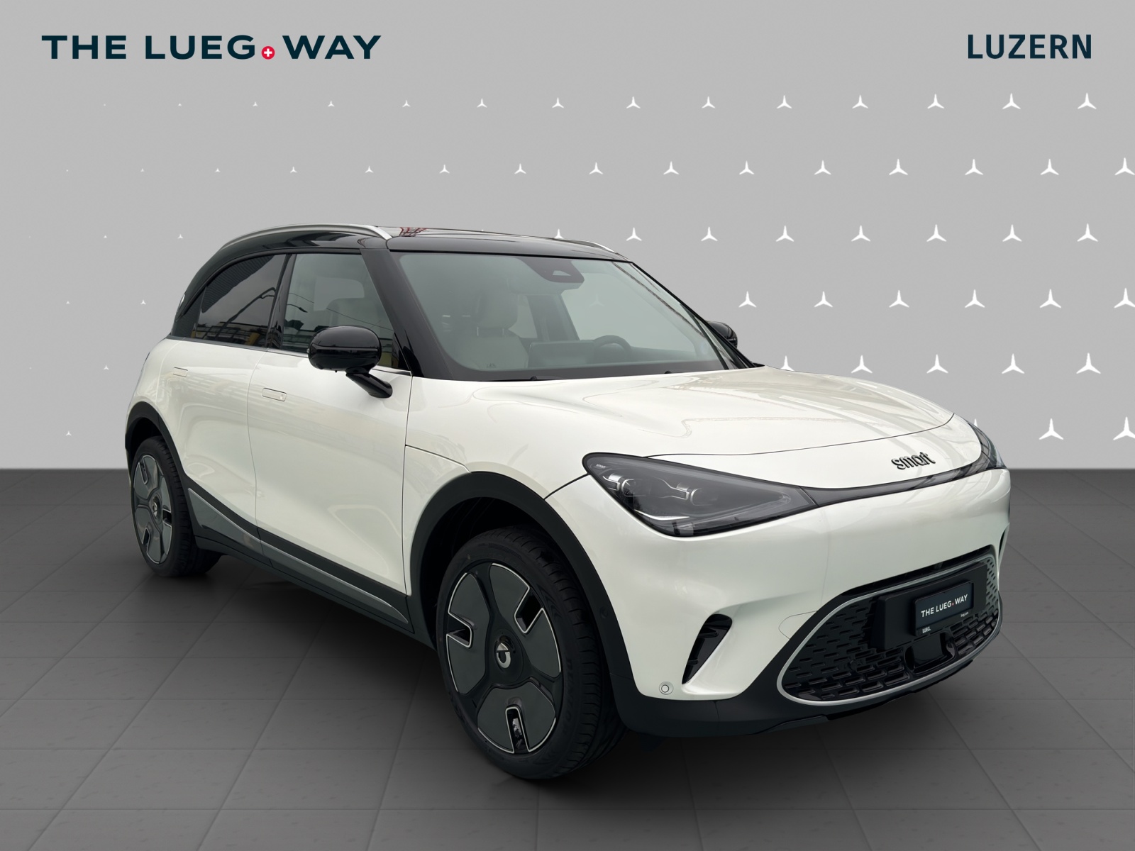 SMART #1 66kWh Premium - 6