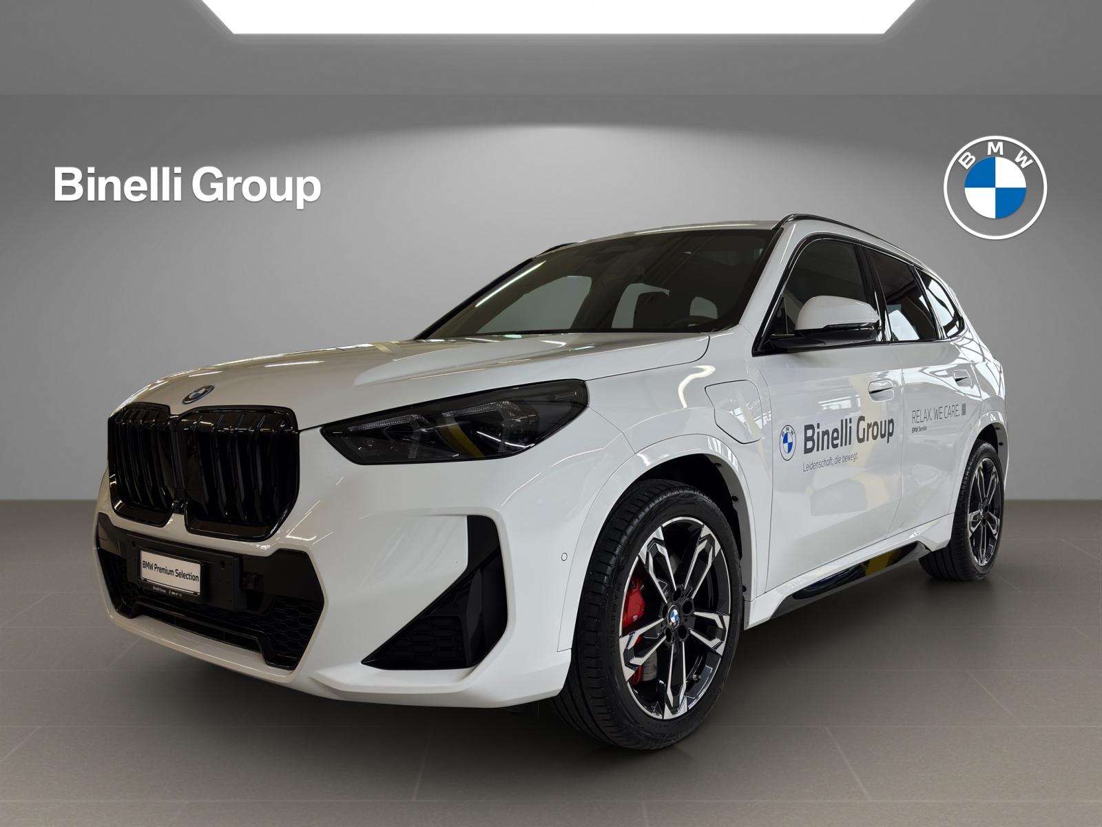 X1 30e xDrive paddles