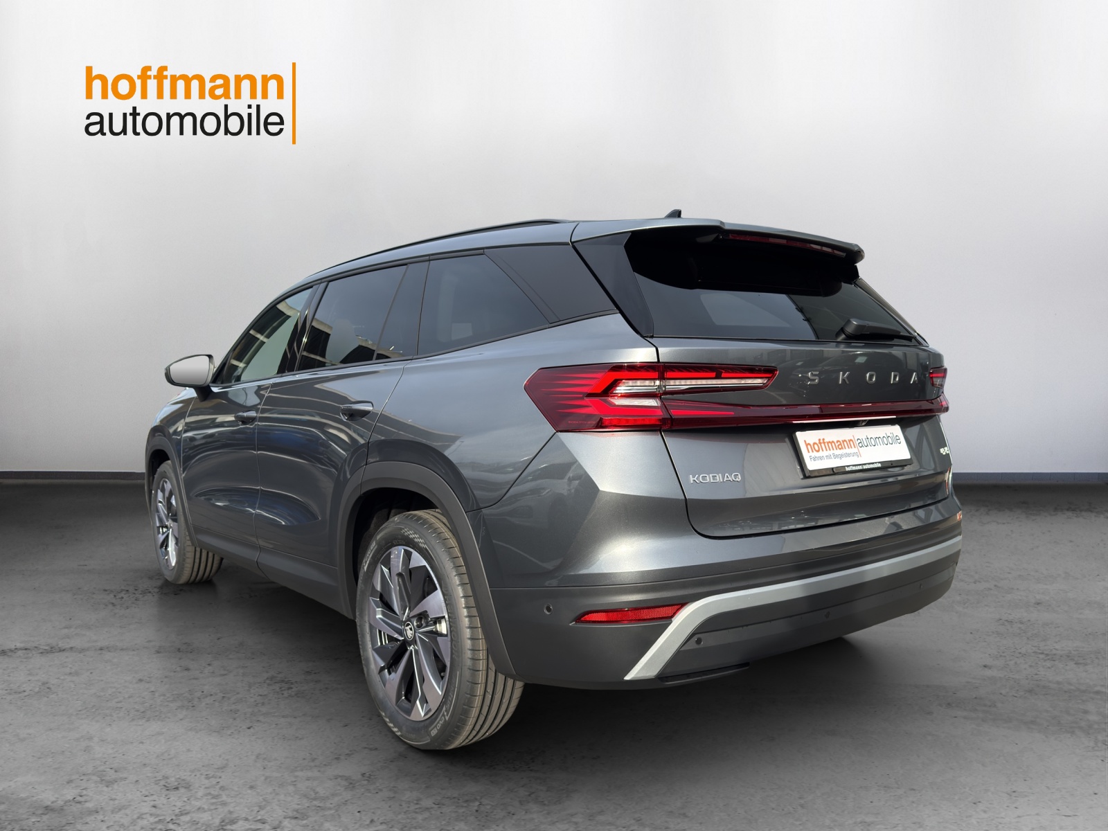 SKODA Kodiaq 2.0 TSI Dynamic 4x4 - 6