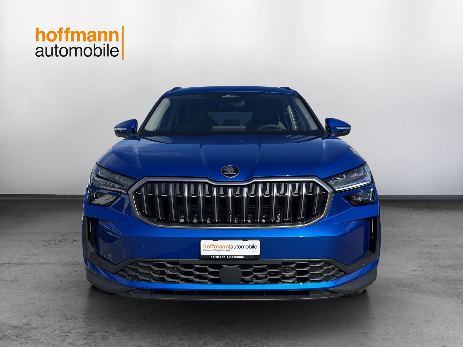 SKODA Kodiaq 2.0 TSI Dynamic 4x4 - 2