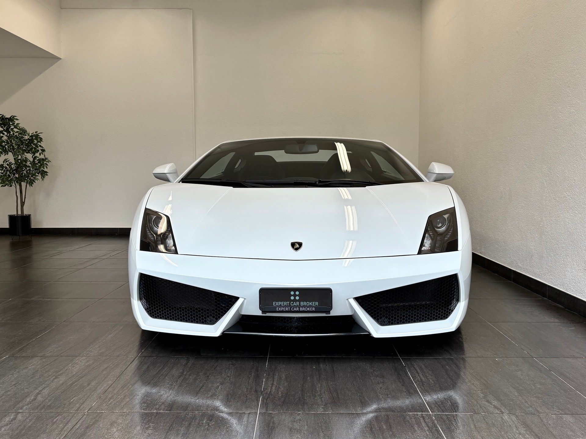 LAMBORGHINI Gallardo LP560-4 Coupé E-Gear - 3