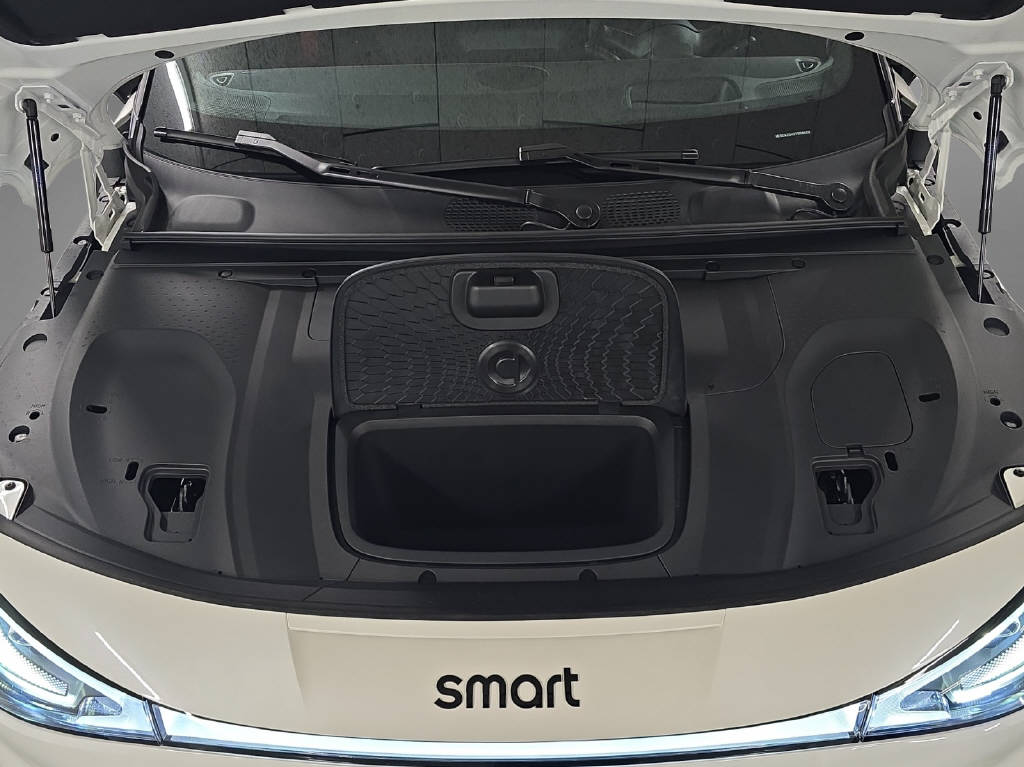 SMART #3 Brabus 4x4 66 kWh, 22kW - 9