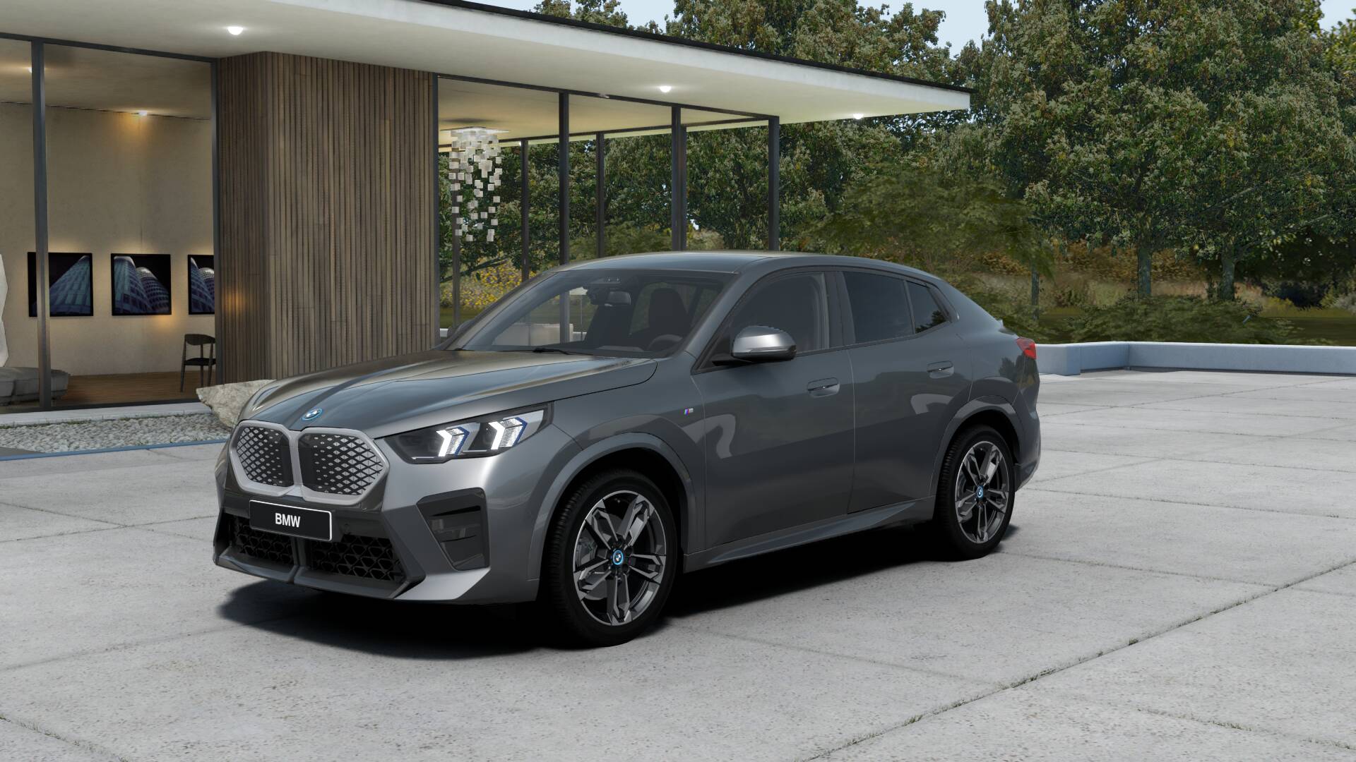BMW iX2 xDrive 30 M Sport