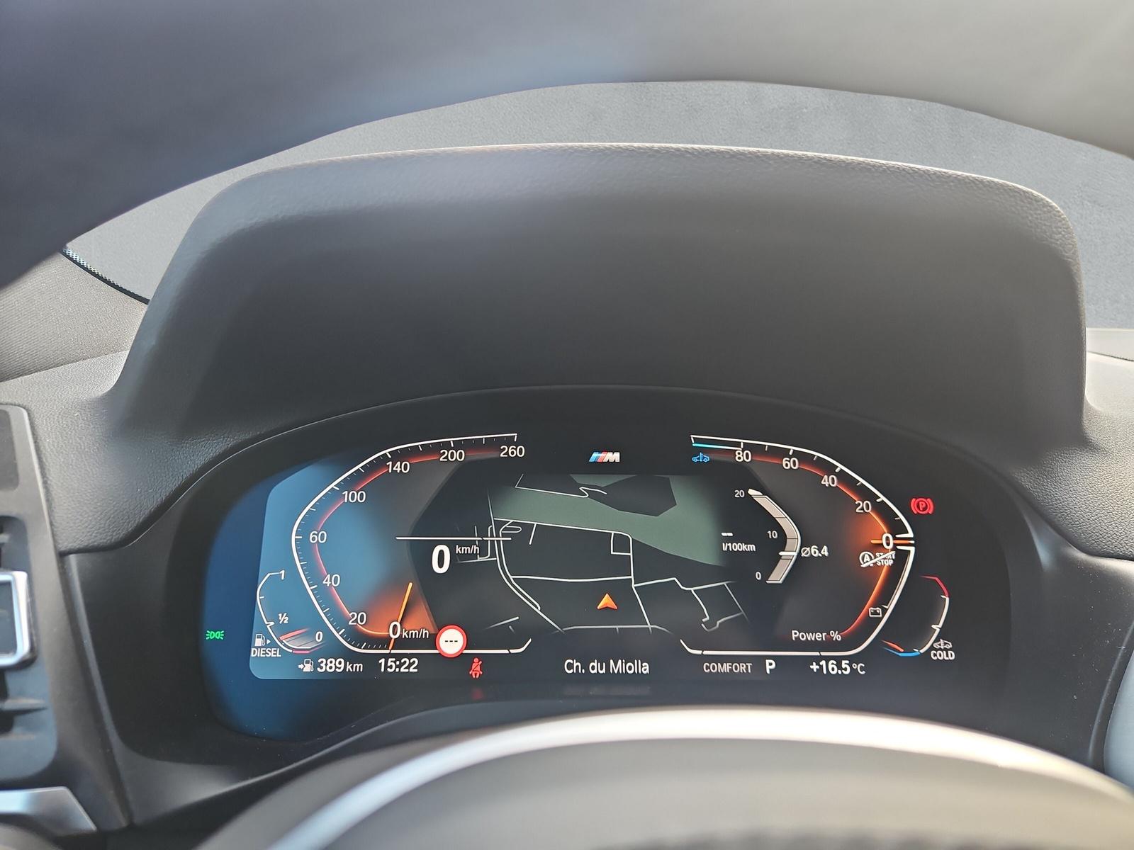 BMW X4 20d xDrive M Sport (CH) - 19