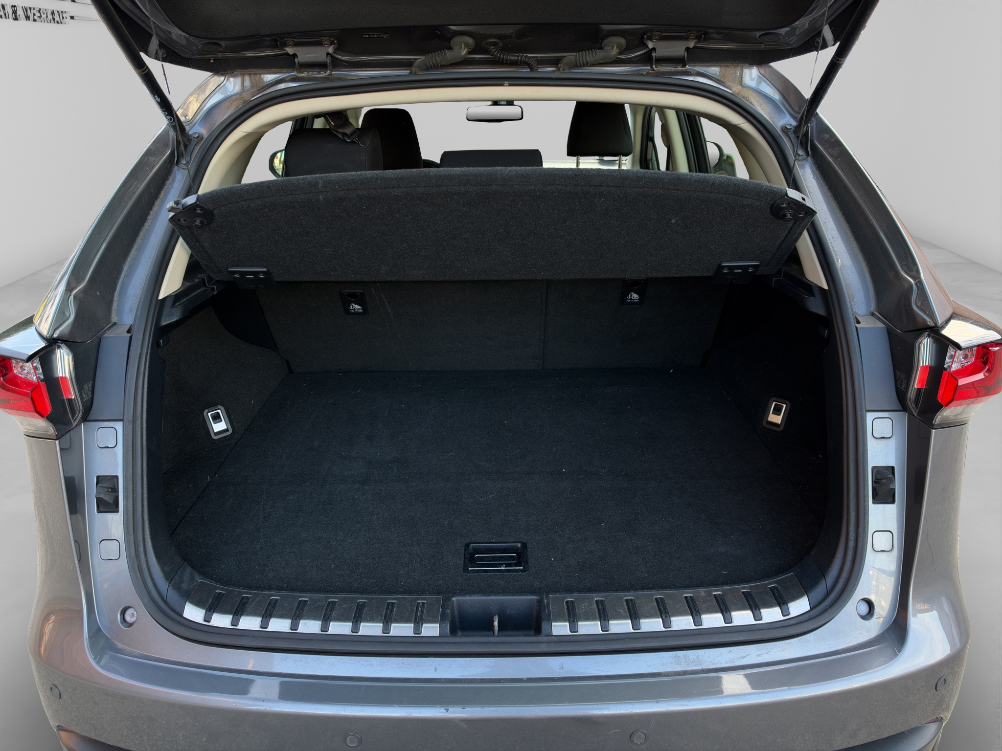 LEXUS NX 13