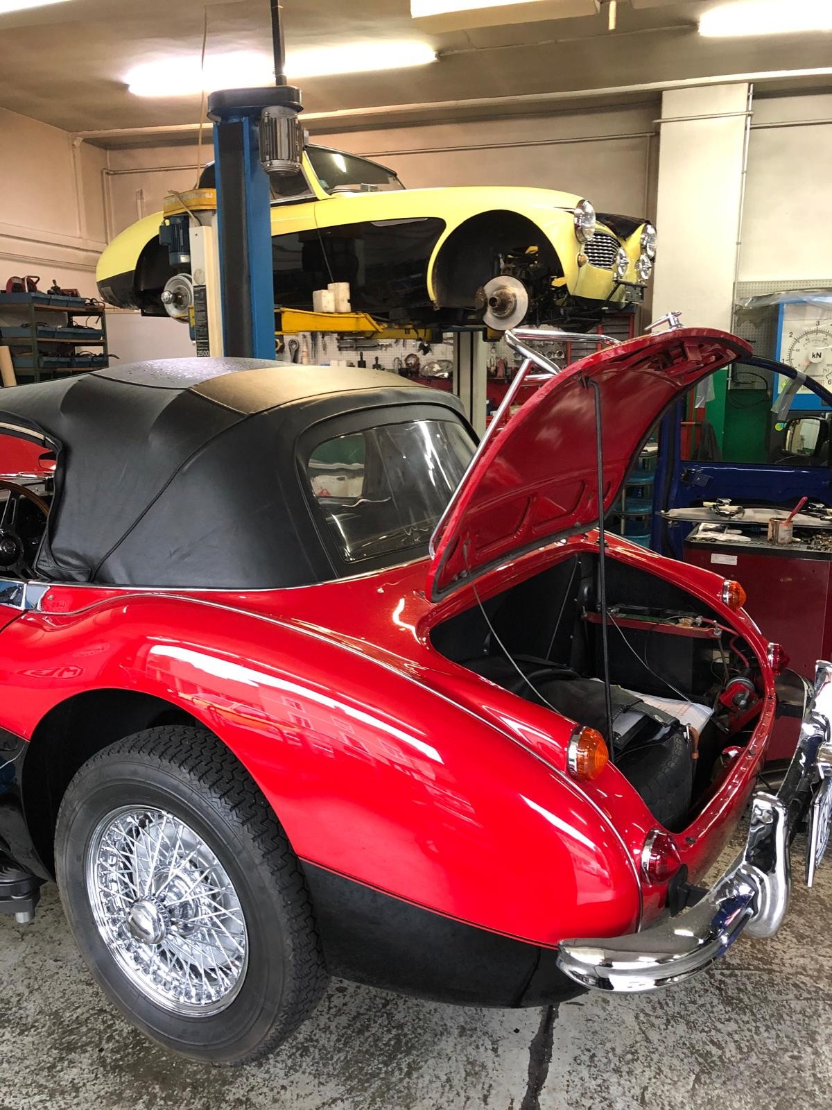 AUSTIN-HEALEY 3000 MKIII BJ8 - 10