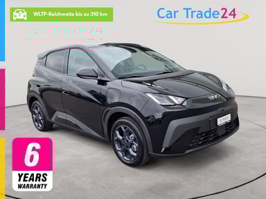 BYD Dolphin Surf 43 kWh Comfort 310 km Reichweite Image