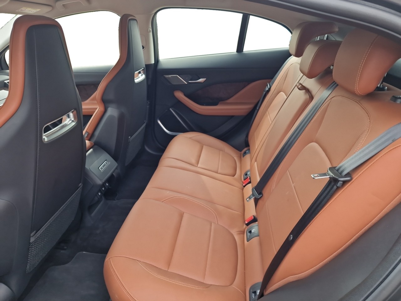 jaguar Gallery 22