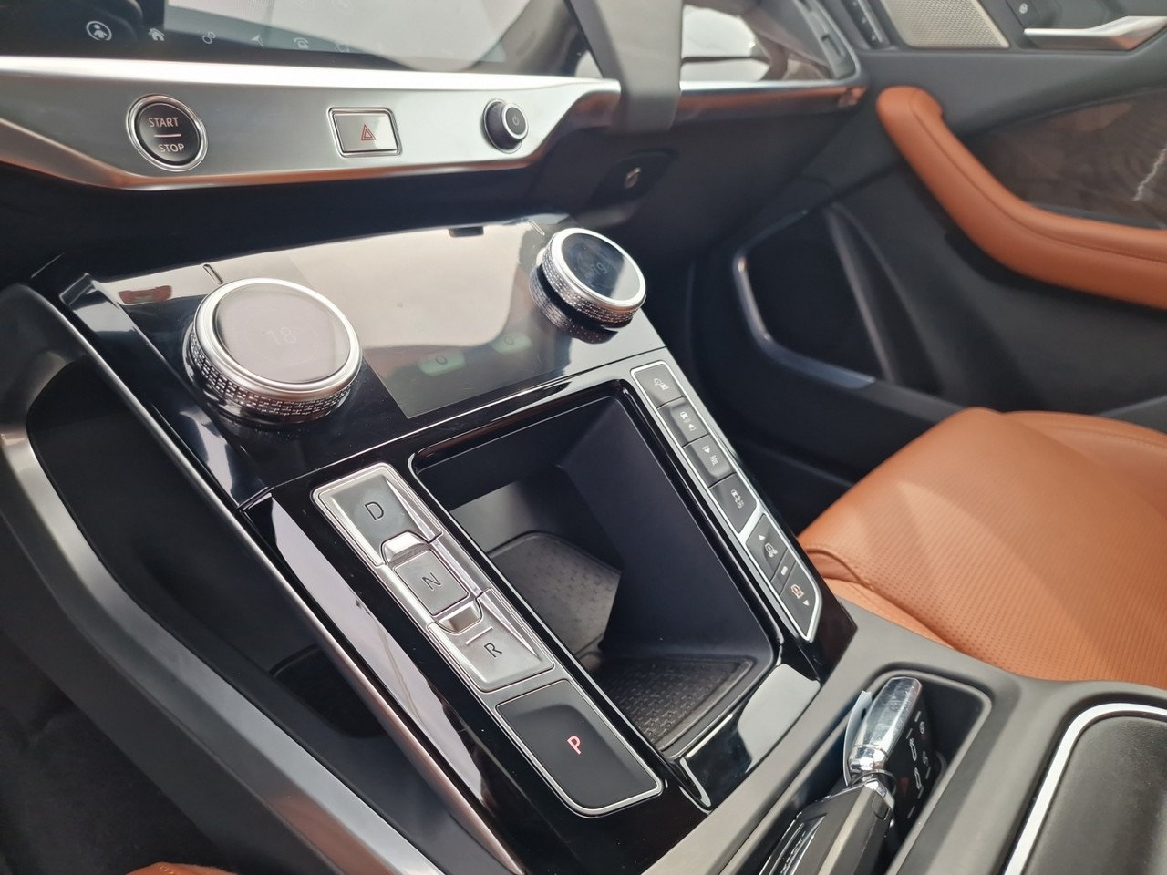 jaguar Gallery 19