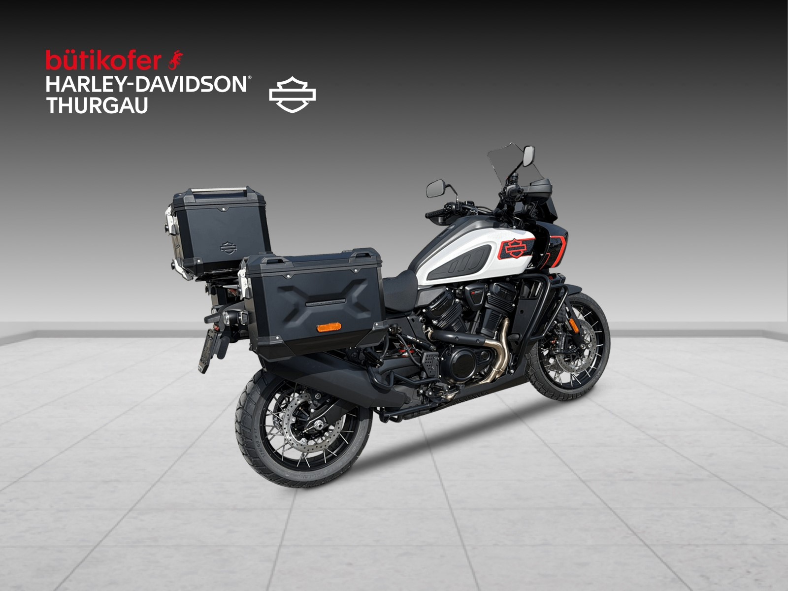 HARLEY-DAVIDSON RA Pan America 1250 L S Limited - 3