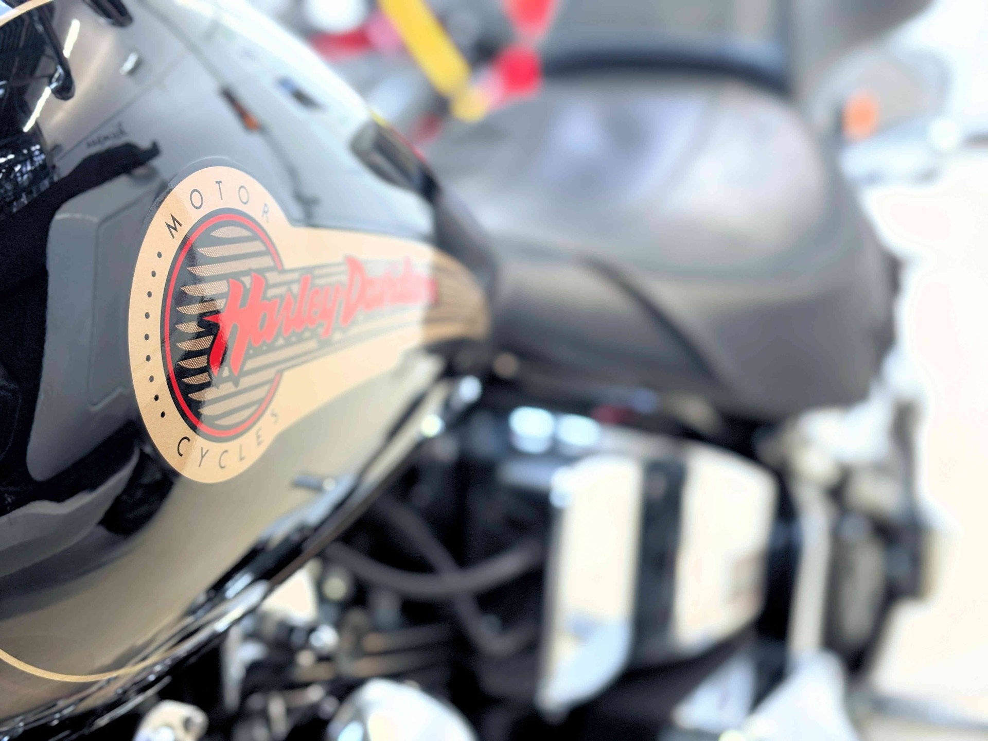 HARLEY-DAVIDSON FLSTF Fat Boy - 10