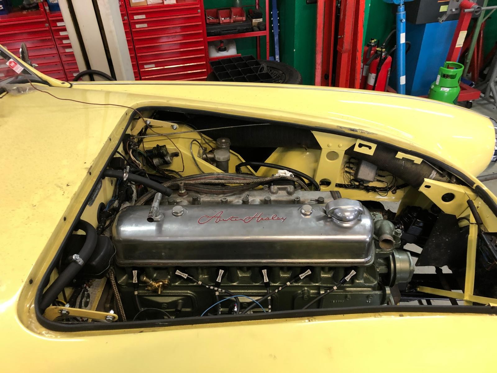 AUSTIN-HEALEY 100/6 - 11