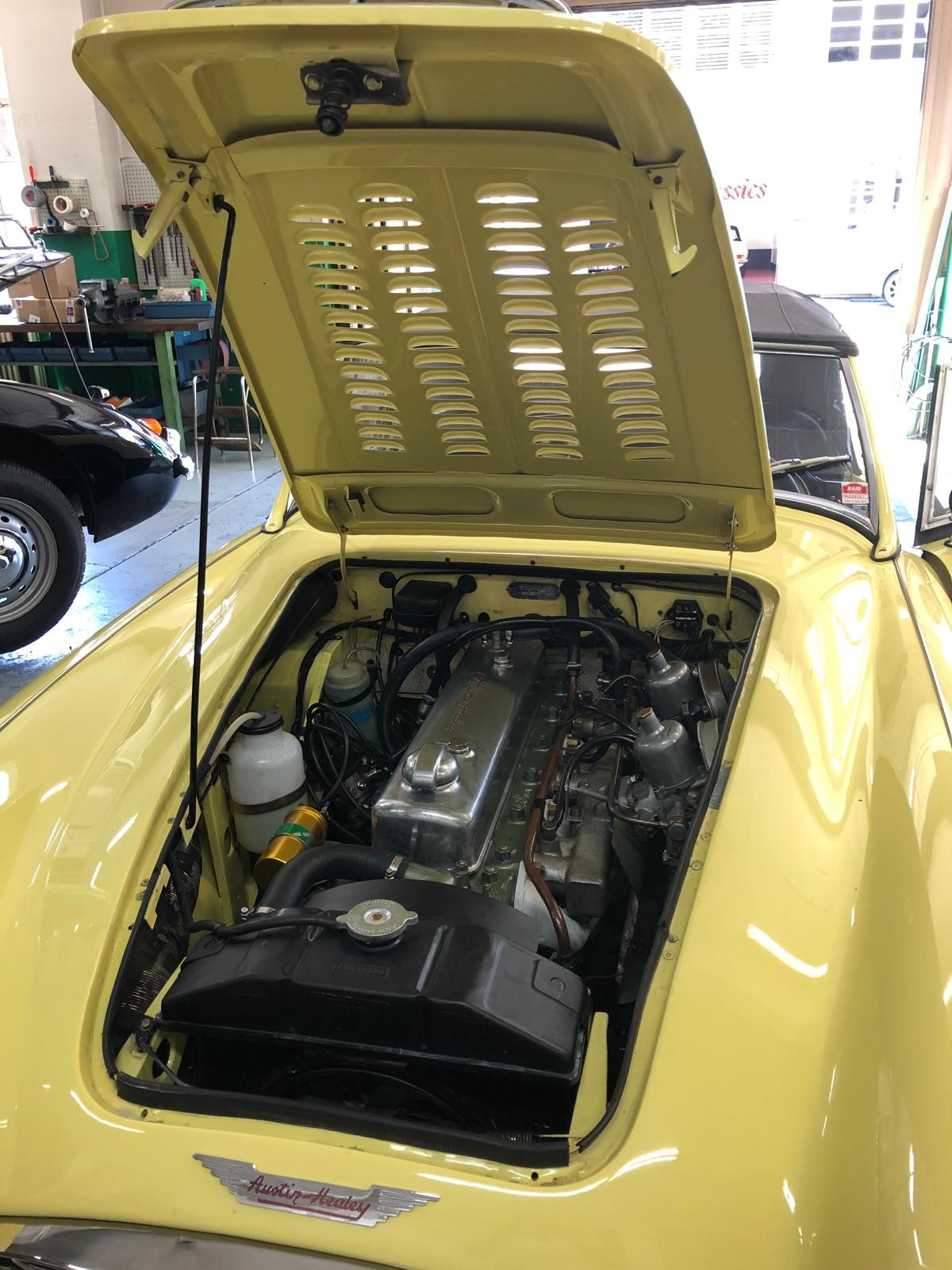 AUSTIN-HEALEY 100/6 - 10