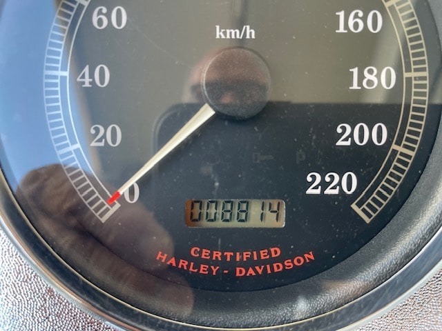 HARLEY-DAVIDSON FLSTF Fat Boy 100th Anniversary Edition "Vergaser Model" - 11