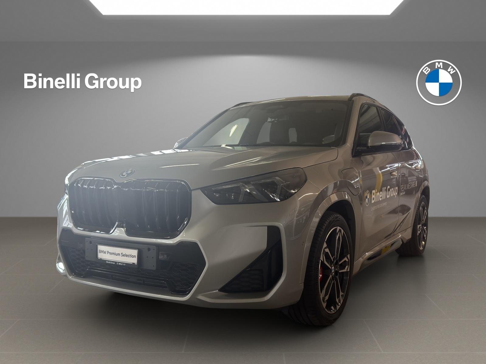 X1 30e xDrive paddles