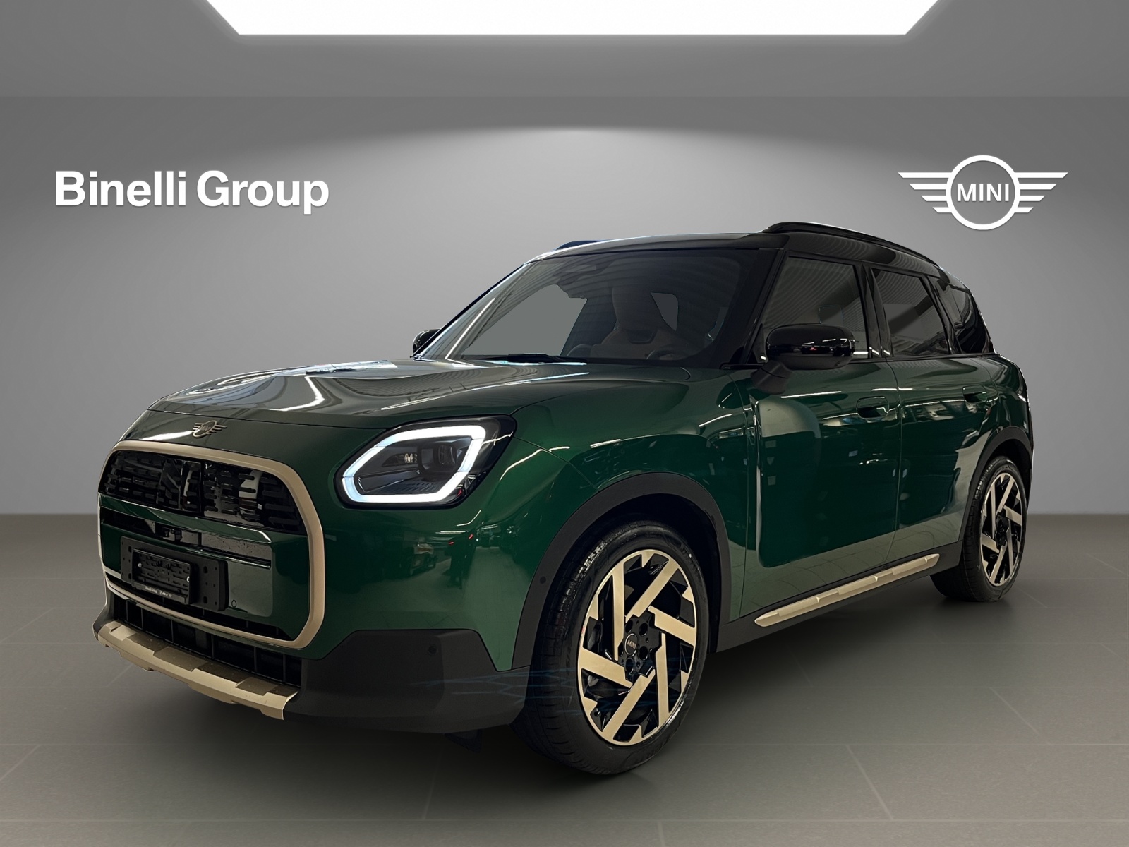 Countryman E