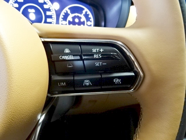 MAZDA CX-60 2.5 PHEV Homura Plus - 9