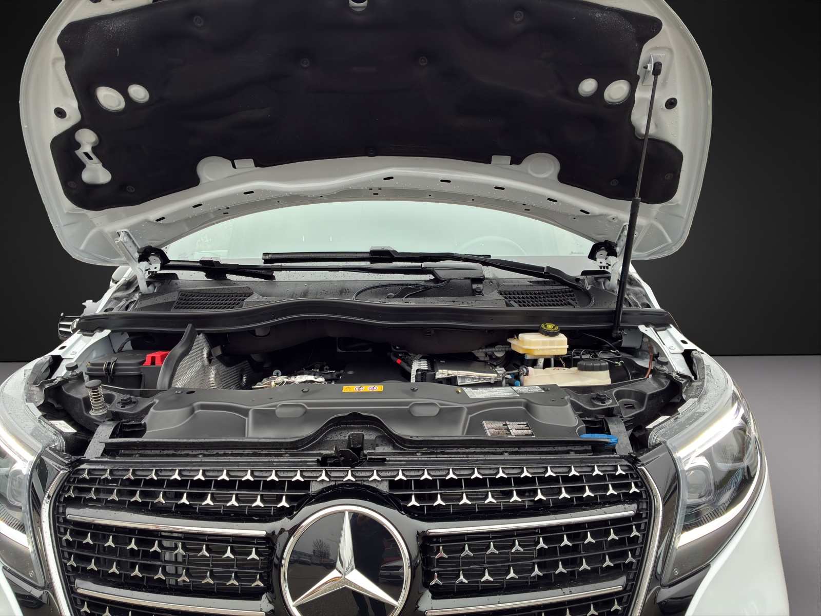 MERCEDES-BENZ V 300 d EXCLUSIVE Swiss Edition 9G-Tronic - 14