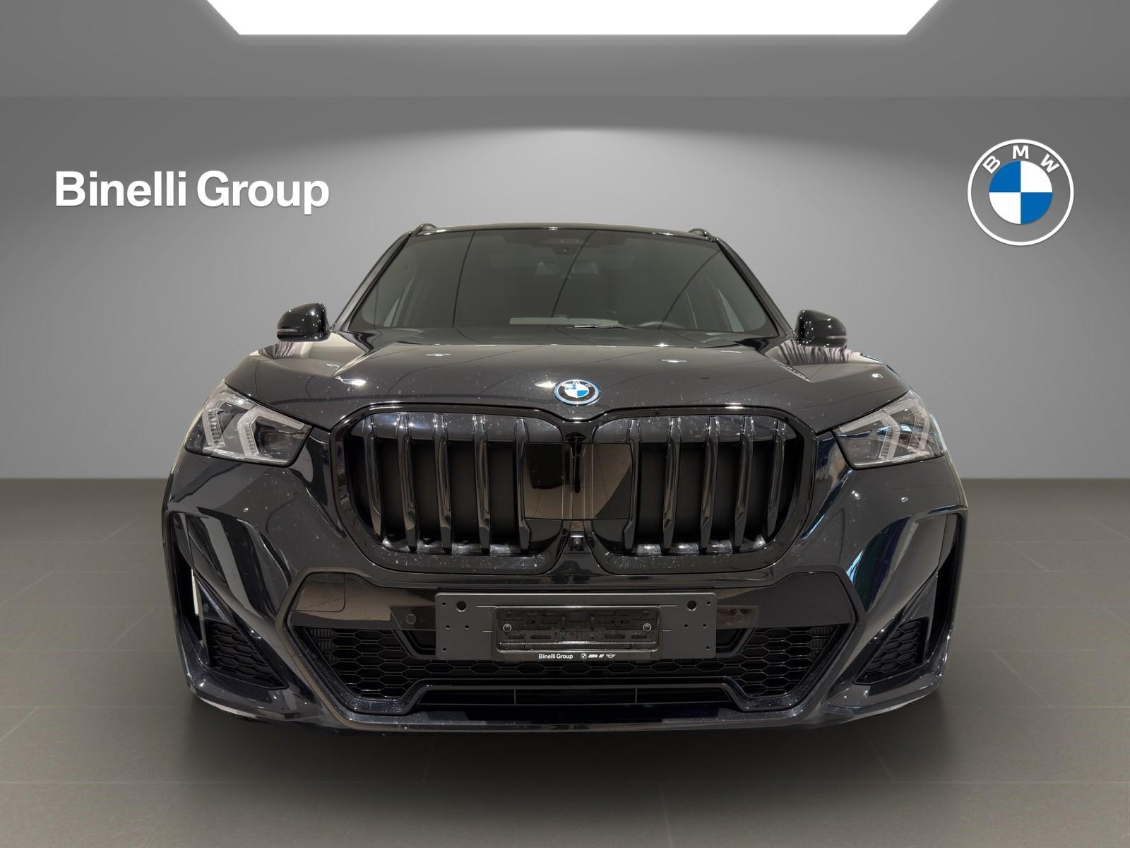 X1 30e xDrive paddles