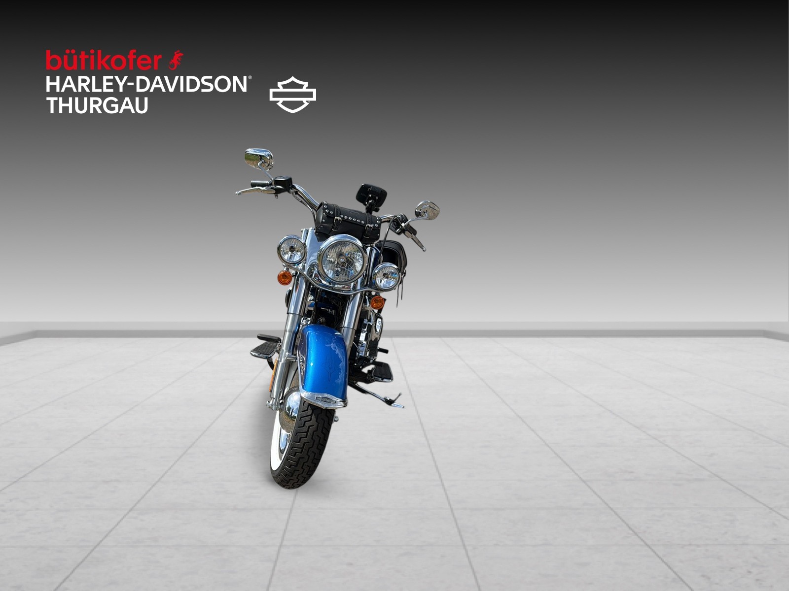 HARLEY-DAVIDSON FLSTN Softail Deluxe ABS - 7