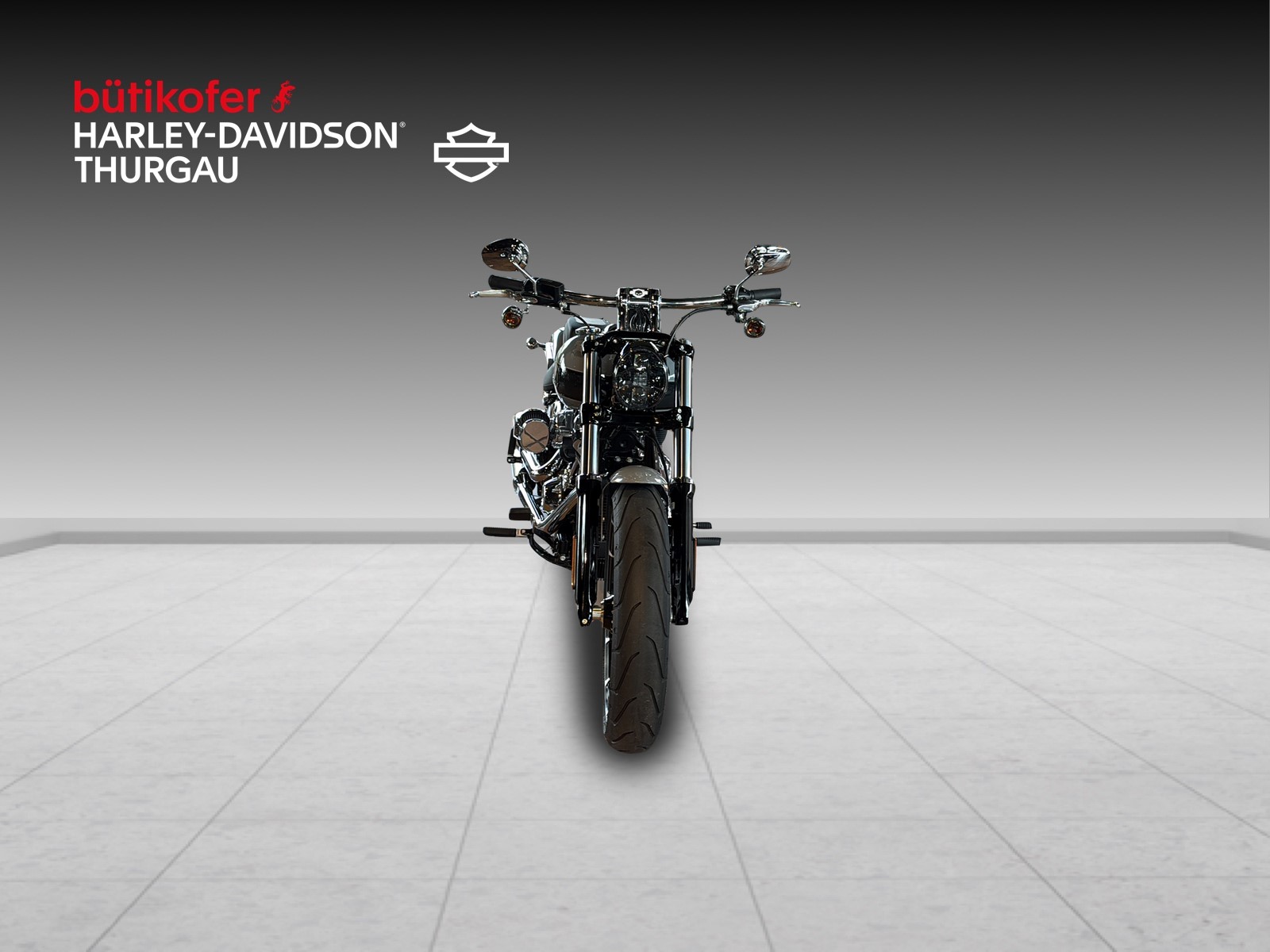 HARLEY-DAVIDSON FXBR Breakout 117 - 7