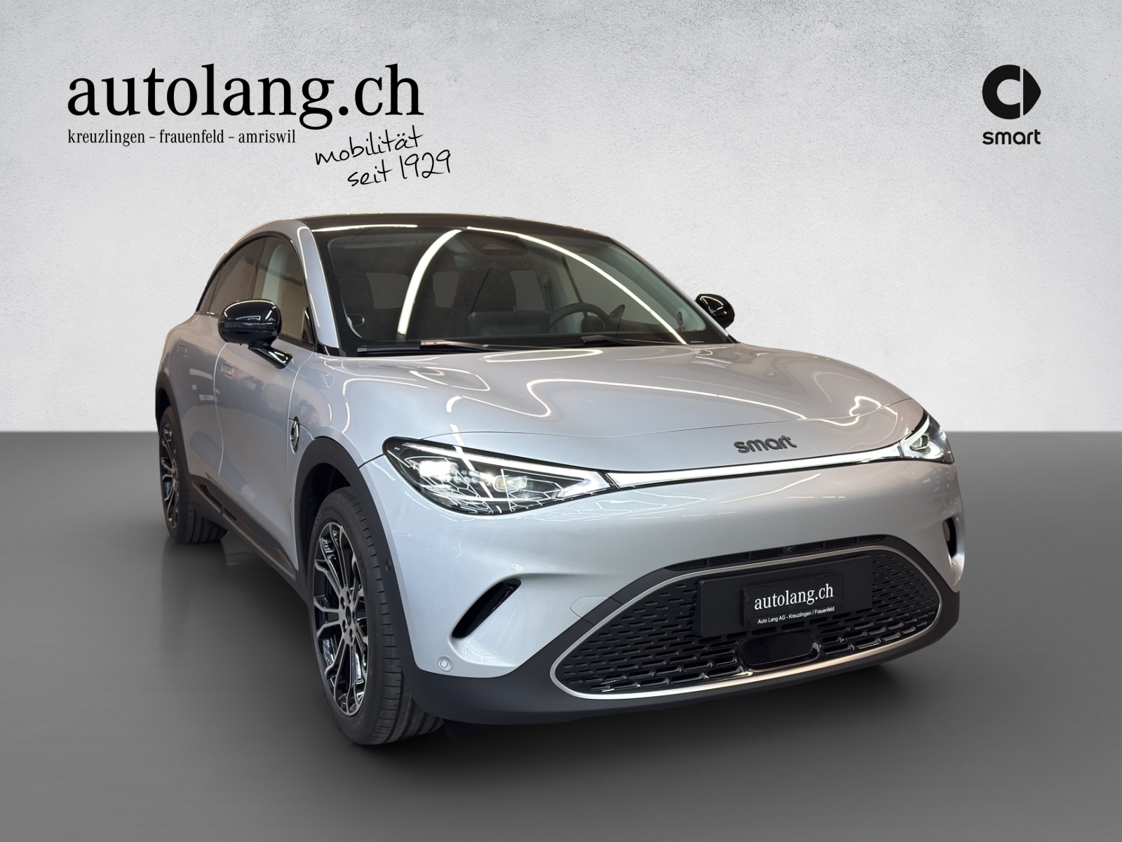 SMART #3 Premium 66 kWh, 22kW - 5