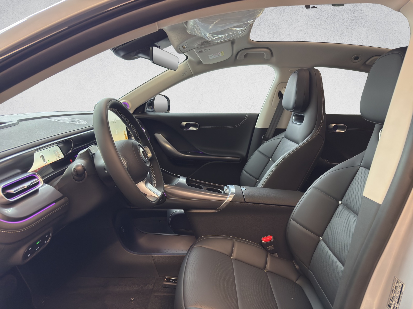 SMART #3 Premium 66 kWh, 22kW - 10