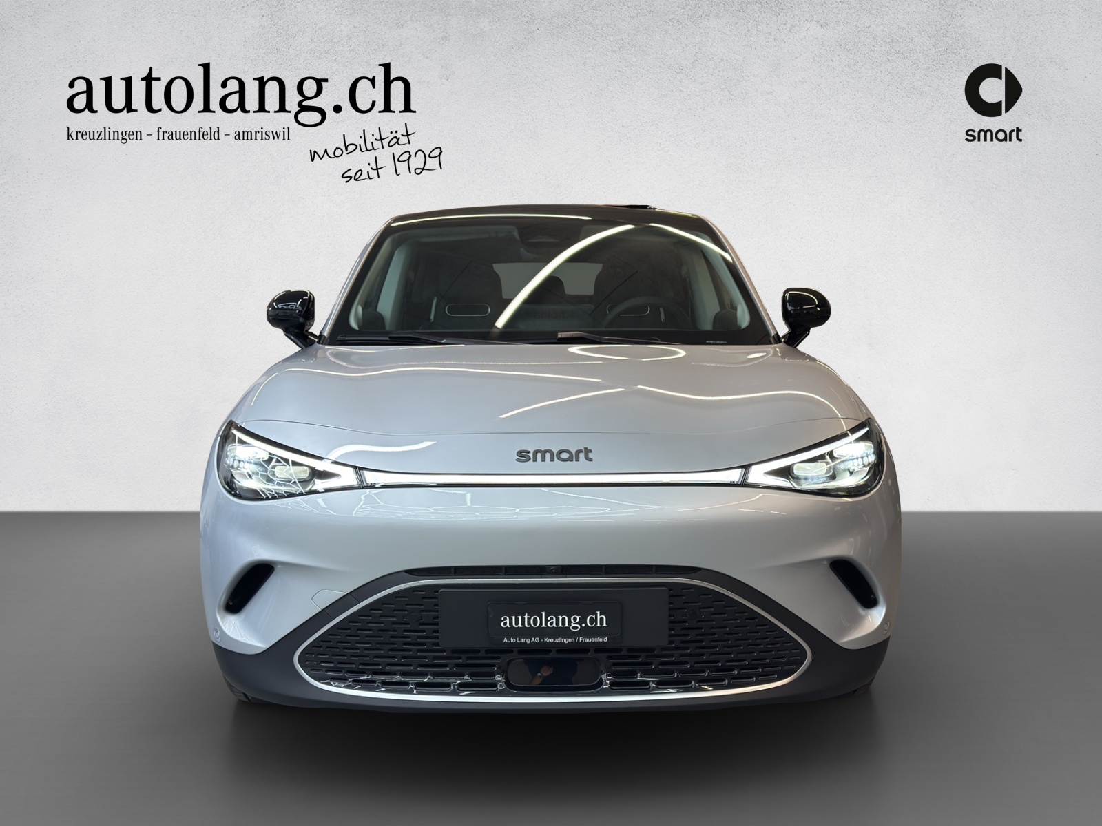 SMART #3 Premium 66 kWh, 22kW - 15