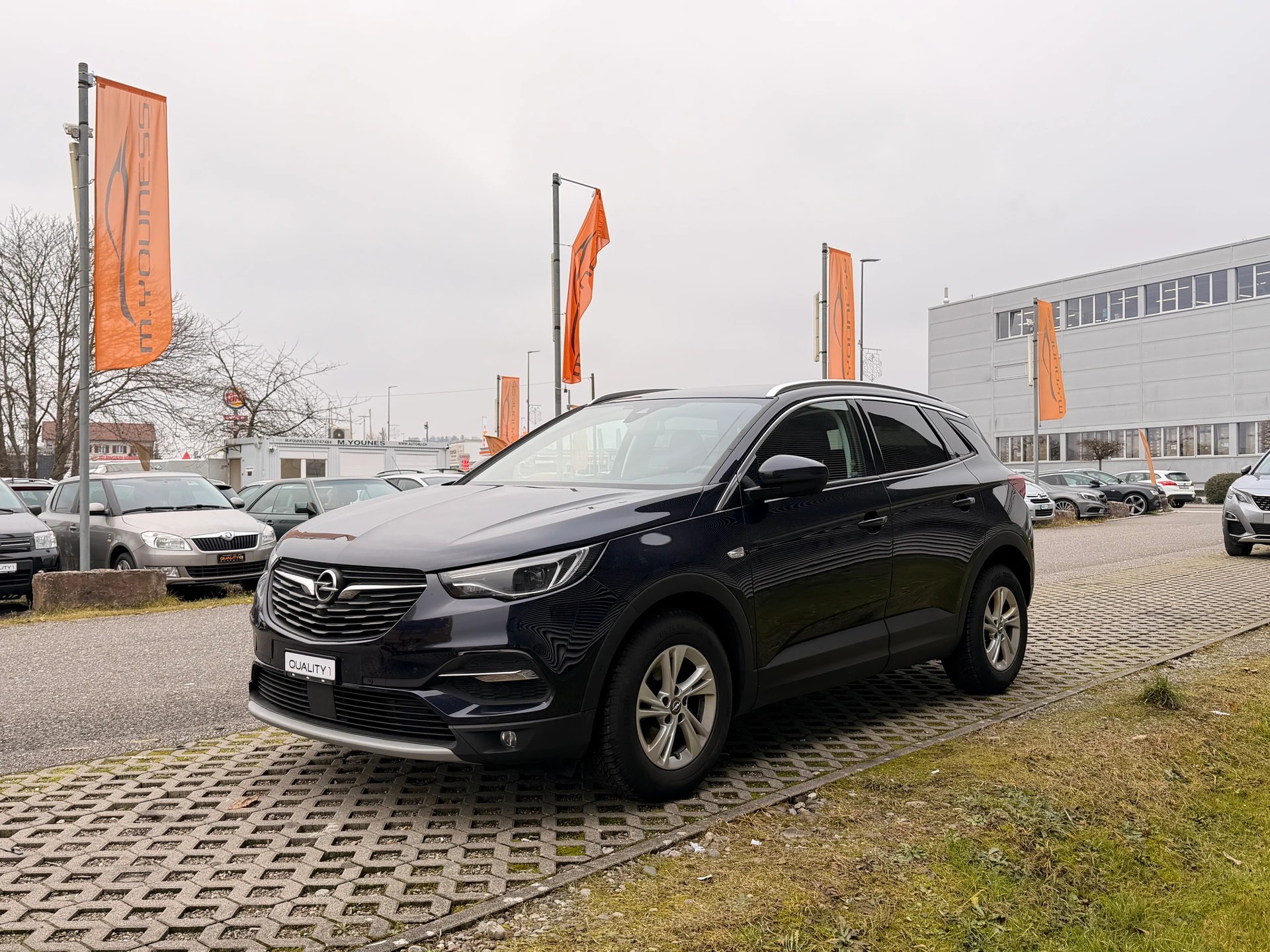 OPEL Grandland X 1.6CDTi Excellence Automatik - 3