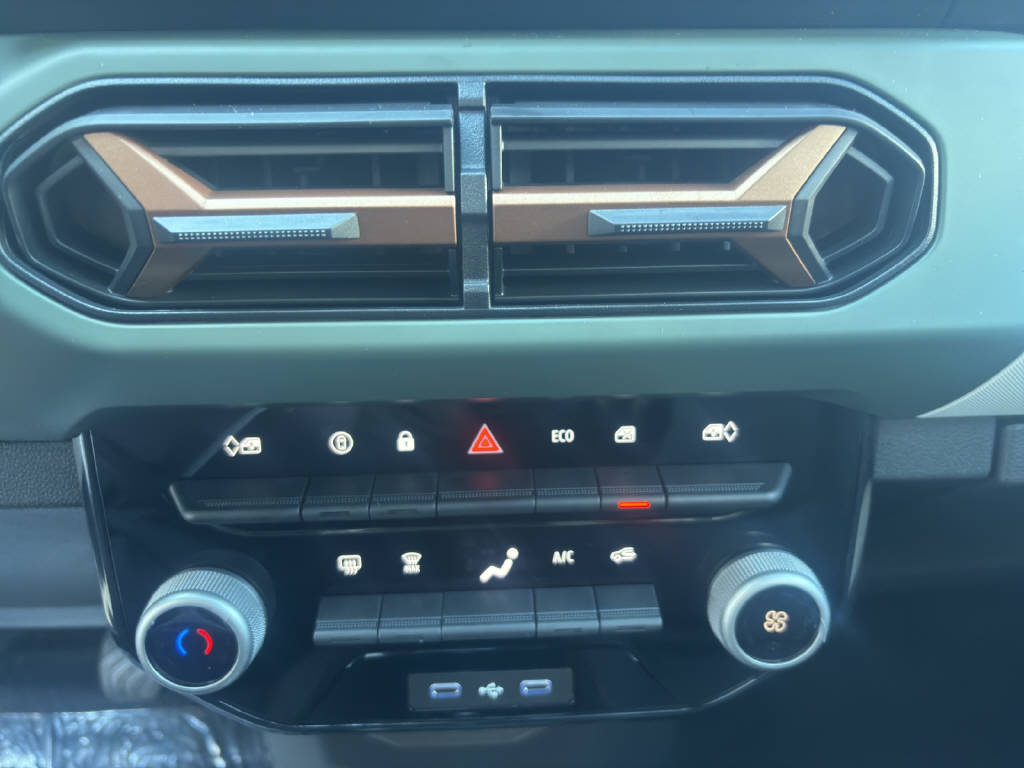 DACIA Spring Extreme - 12