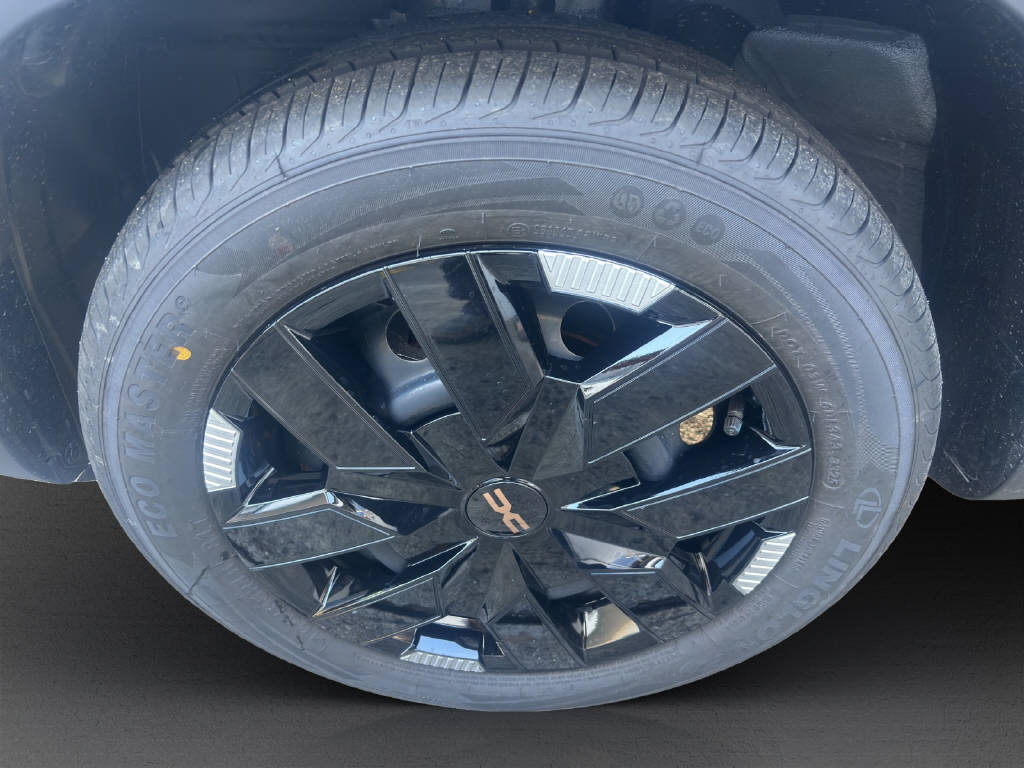 DACIA Spring Extreme - 16