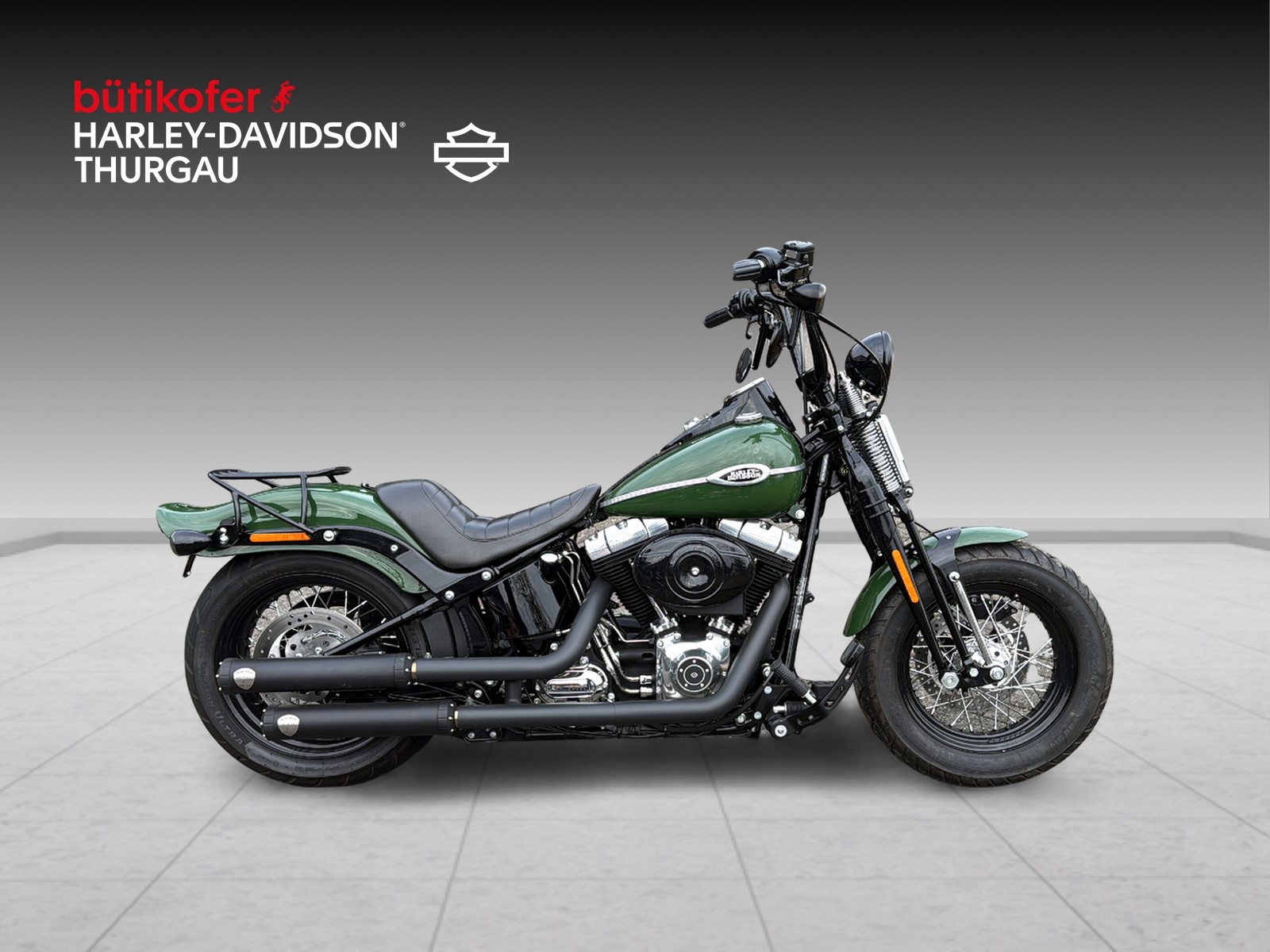 HARLEY-DAVIDSON FLSTSB Cross Bones - 2