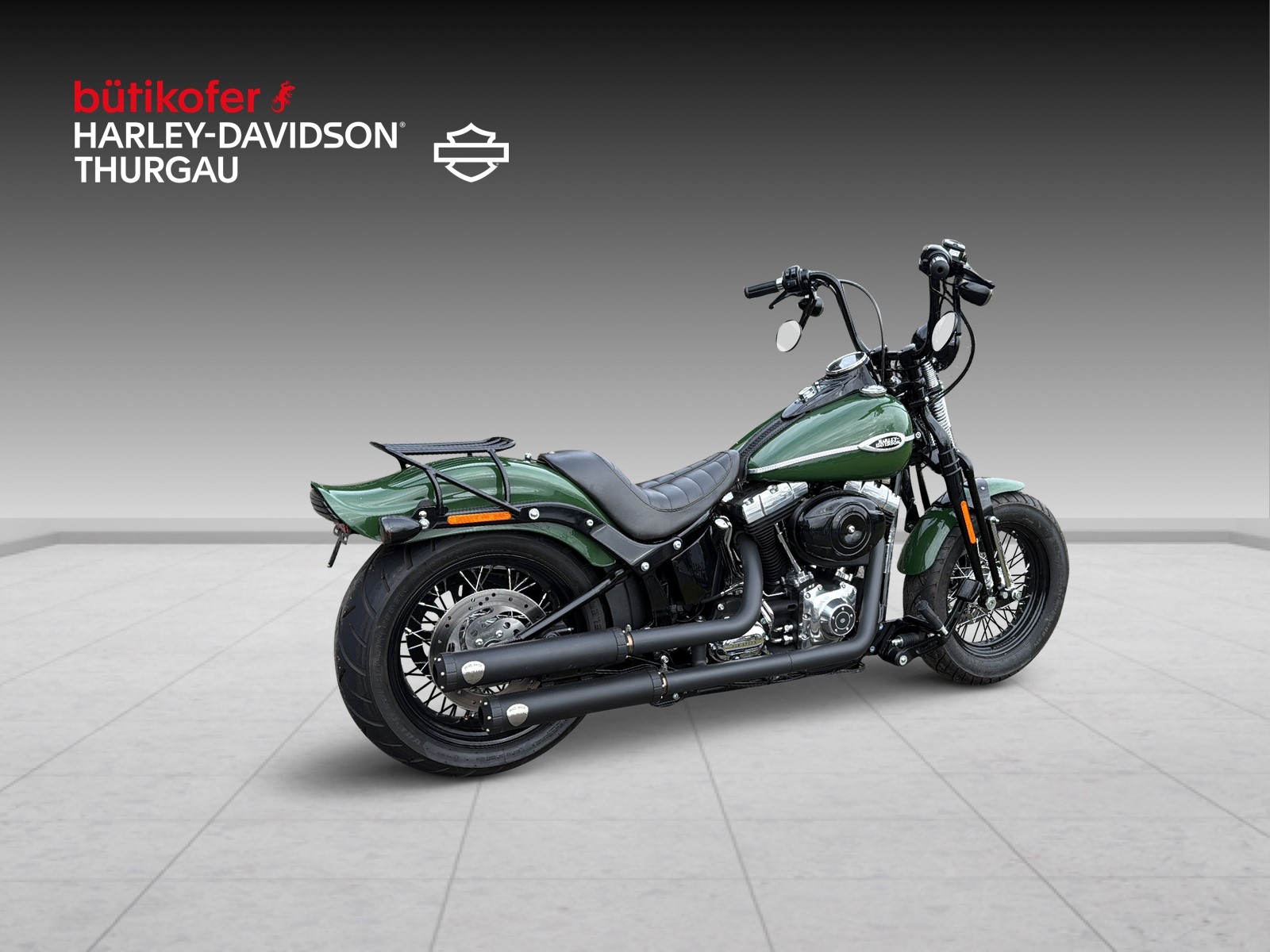 HARLEY-DAVIDSON FLSTSB Cross Bones - 3