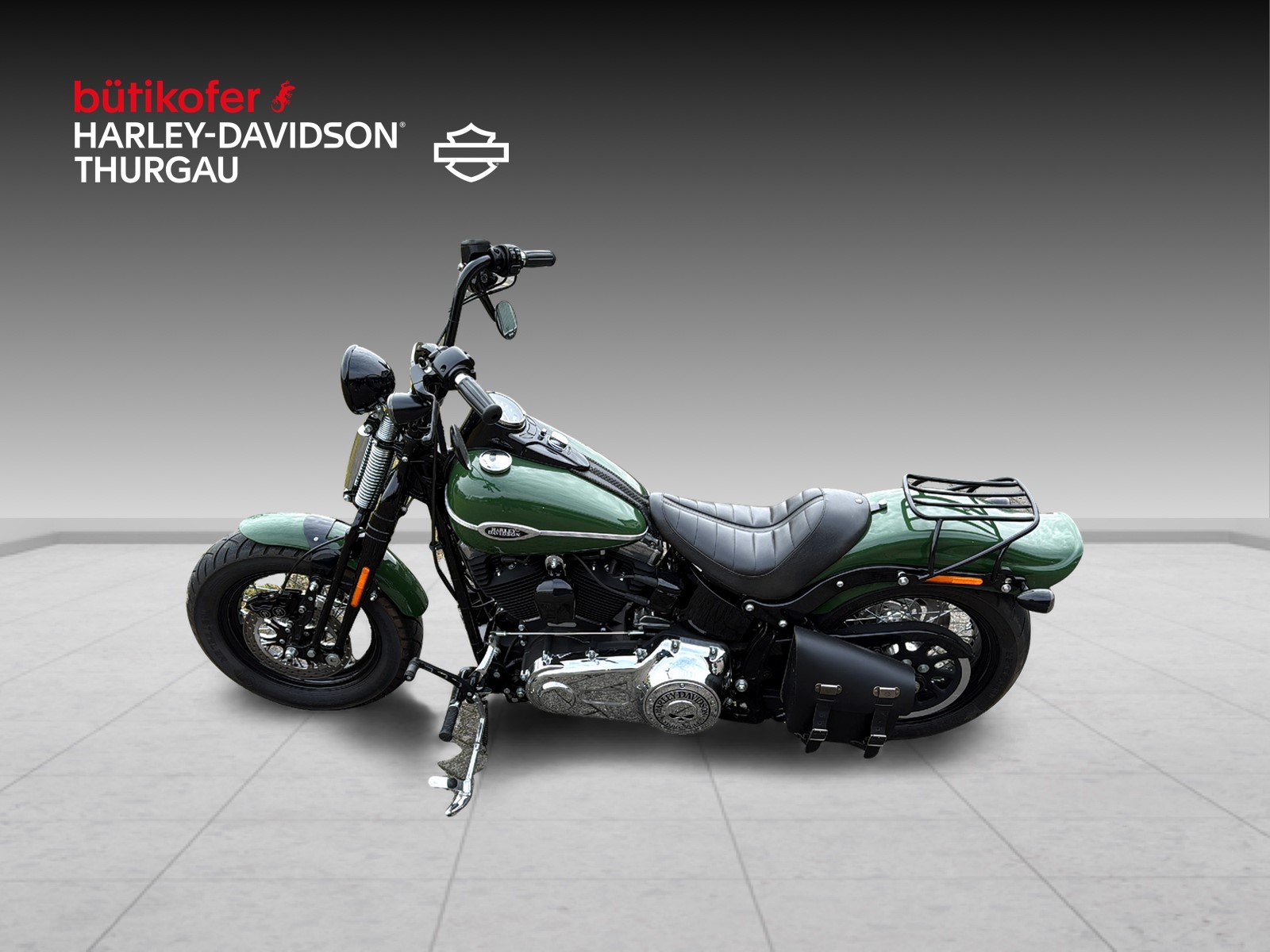 HARLEY-DAVIDSON FLSTSB Cross Bones - 8