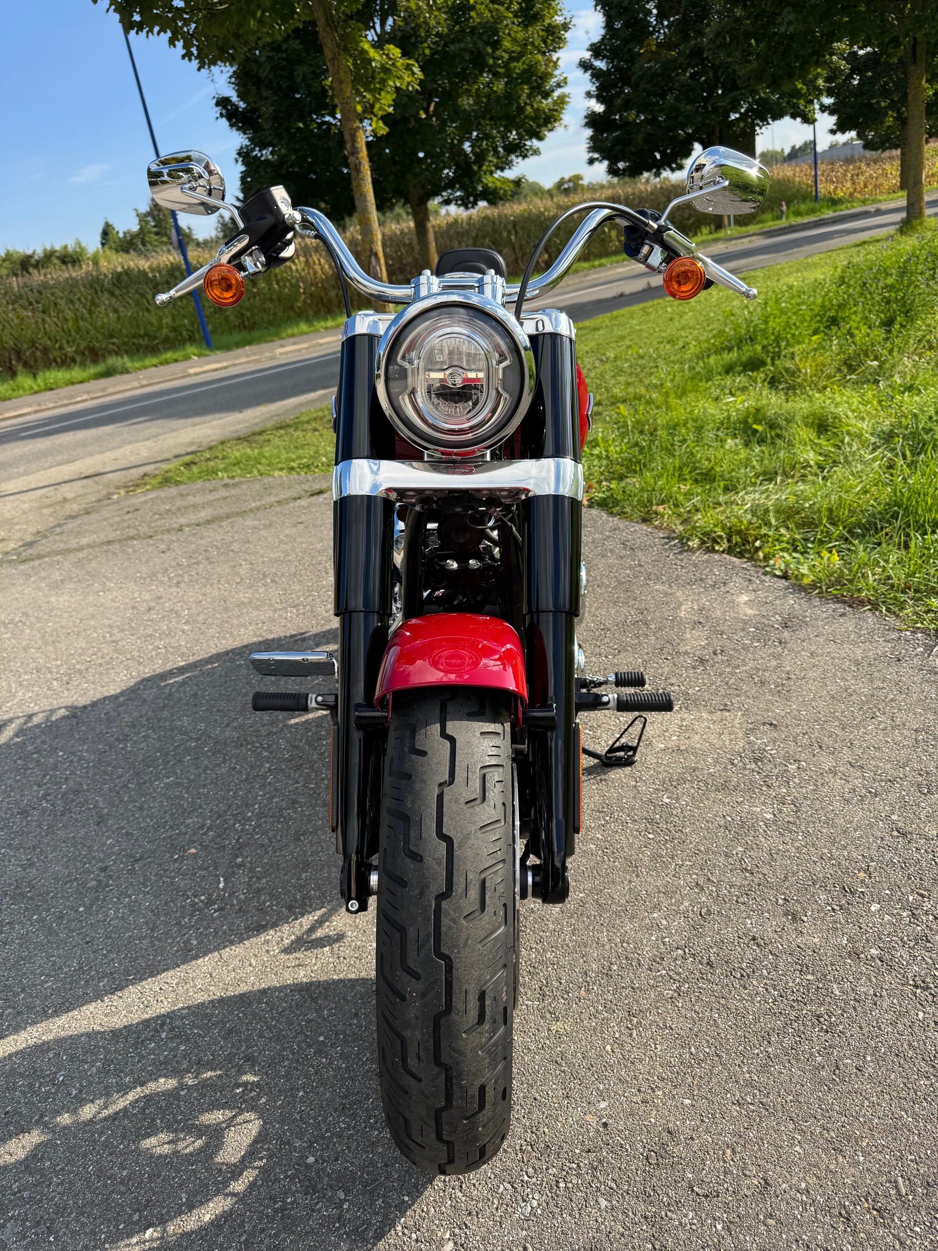 HARLEY-DAVIDSON FLSL Softail Slim 107 - 5