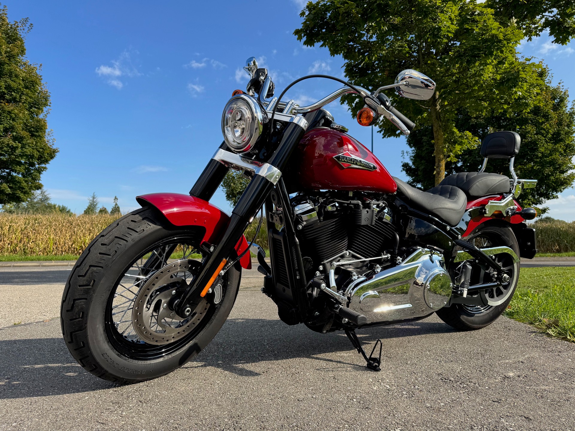 HARLEY-DAVIDSON FLSL Softail Slim 107 - 3