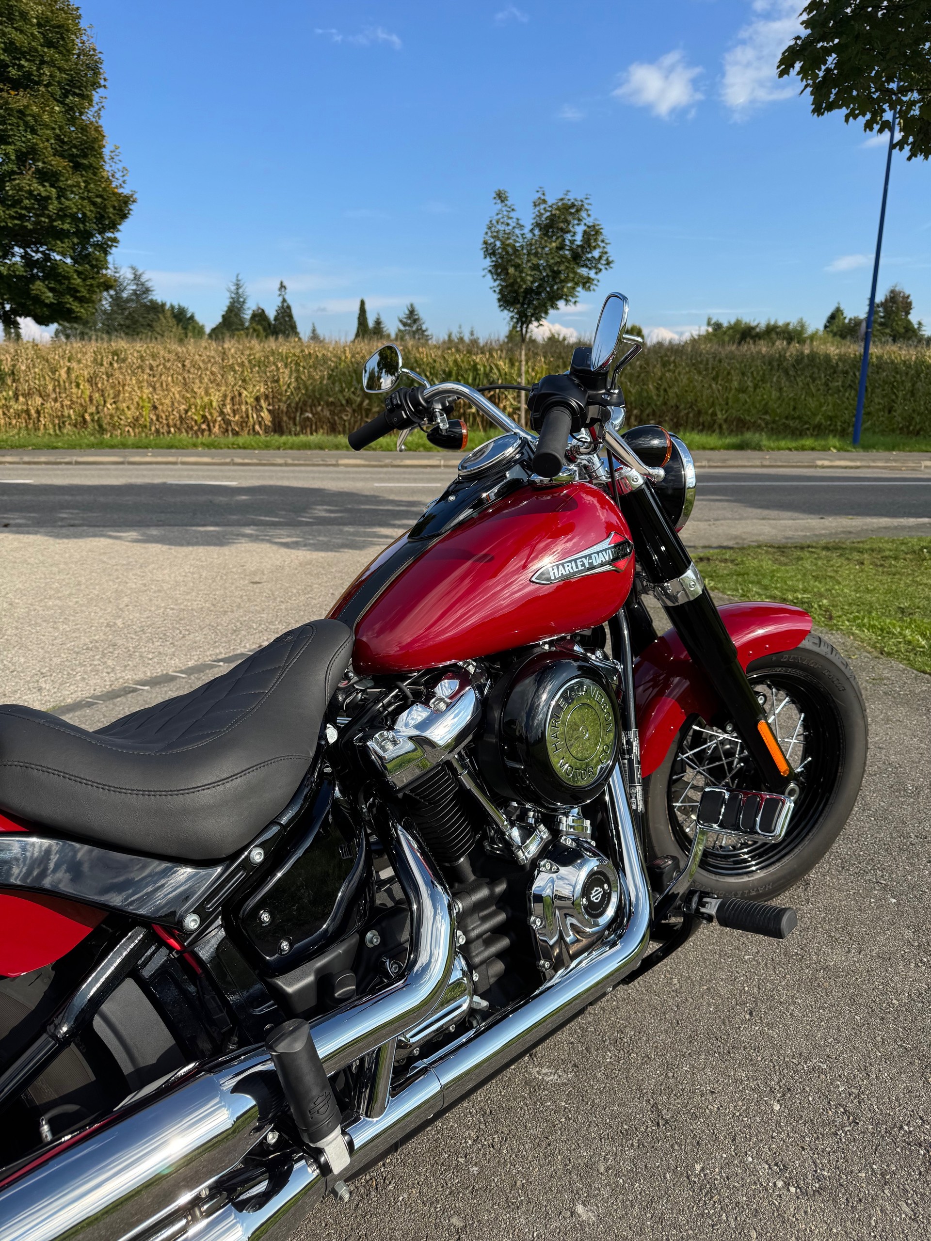 HARLEY-DAVIDSON FLSL Softail Slim 107 - 4