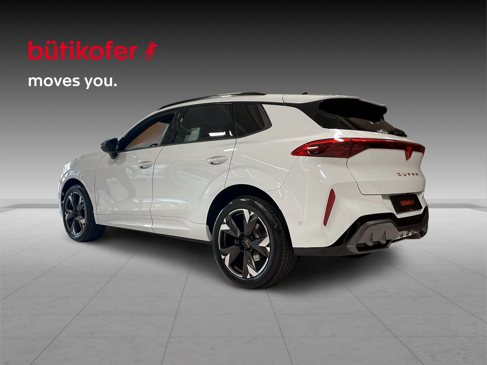 CUPRA Terramar 2.0 TSI 4Drive DSG - 4
