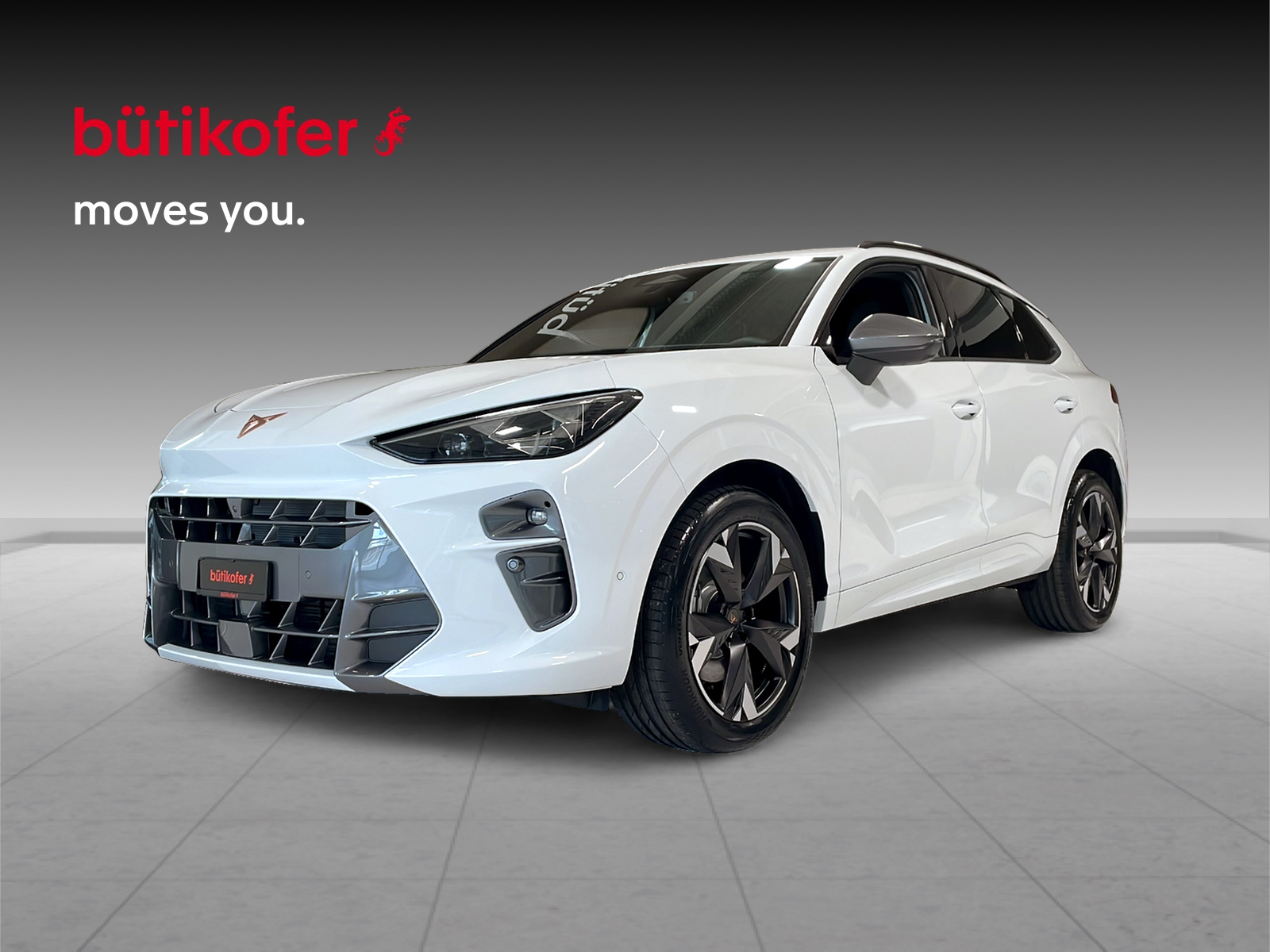 CUPRA Terramar 2.0 TSI 4Drive DSG