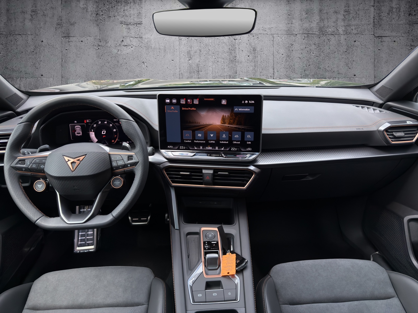 CUPRA Formentor 2.0TSI VZ 4Drive DSG *5 Jahre Garantie* - 9