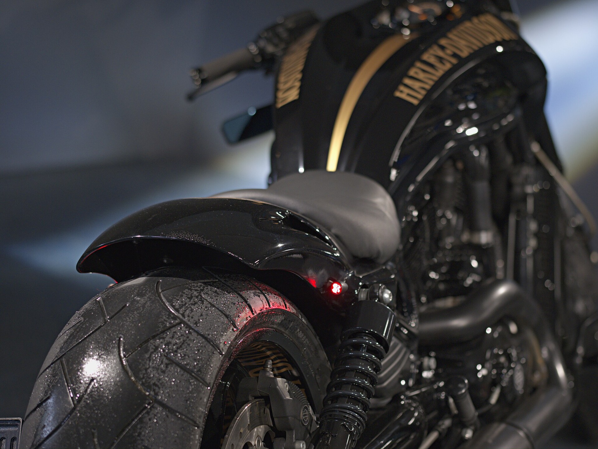 HARLEY-DAVIDSON VRSCF V-Rod Muscle ABS - 11
