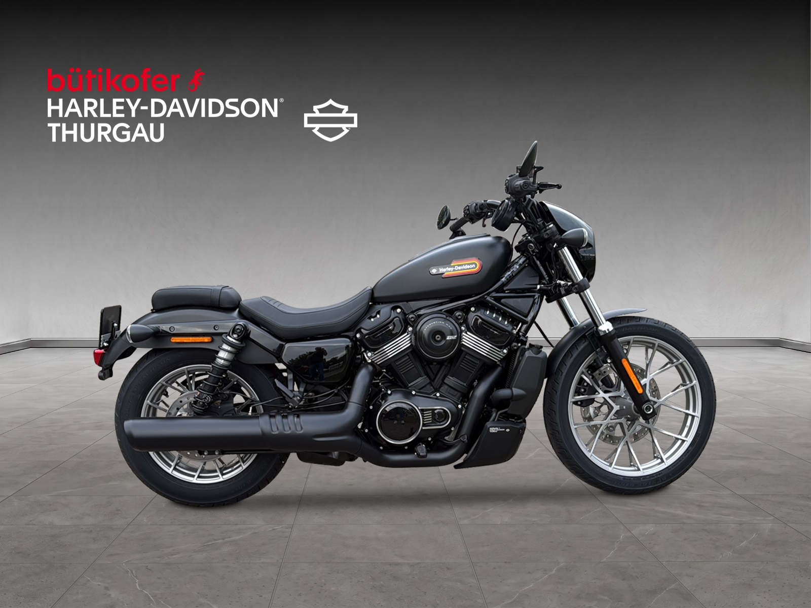HARLEY-DAVIDSON RH 975S Nightster Special - 2