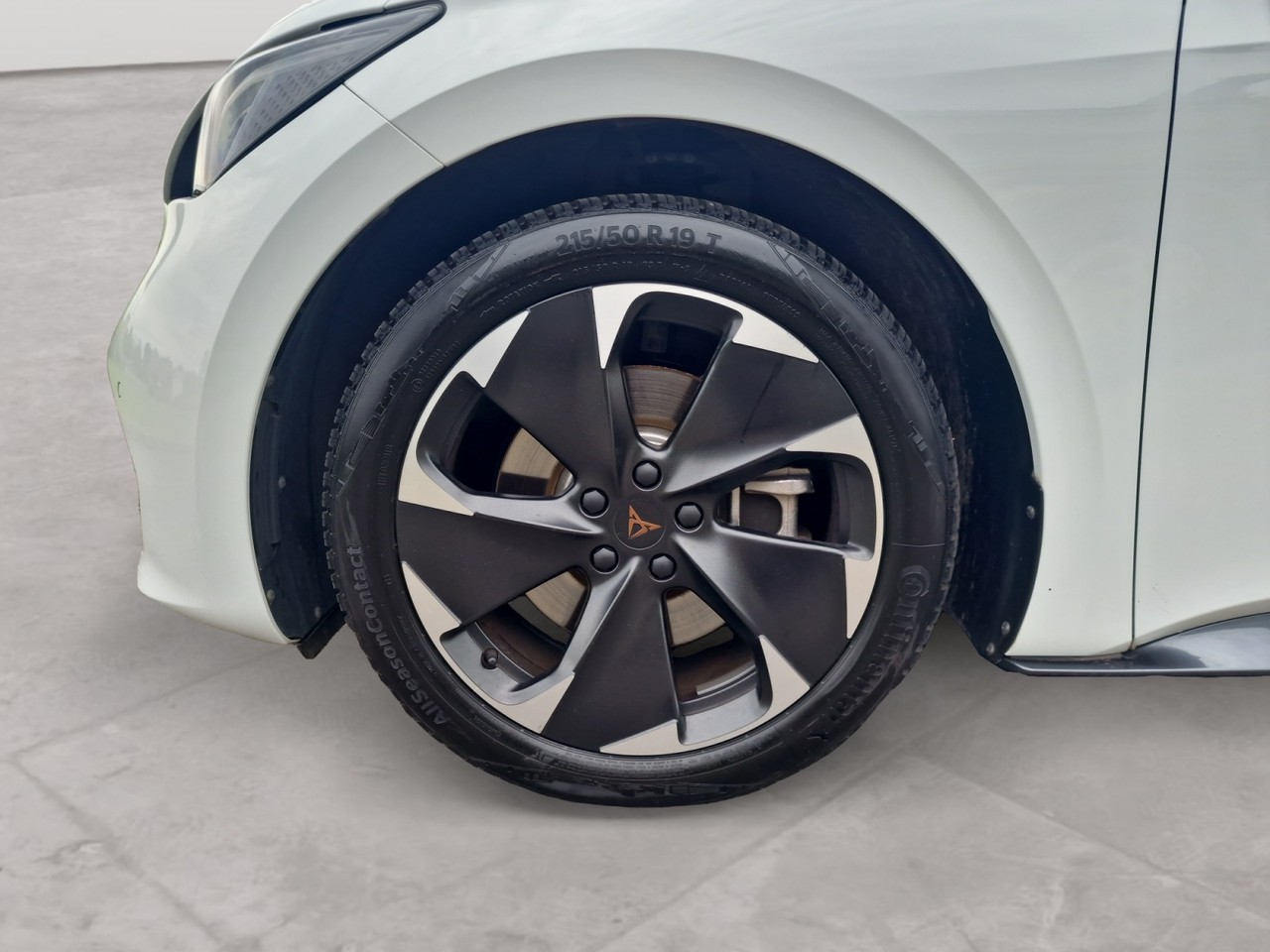cupra Gallery 8