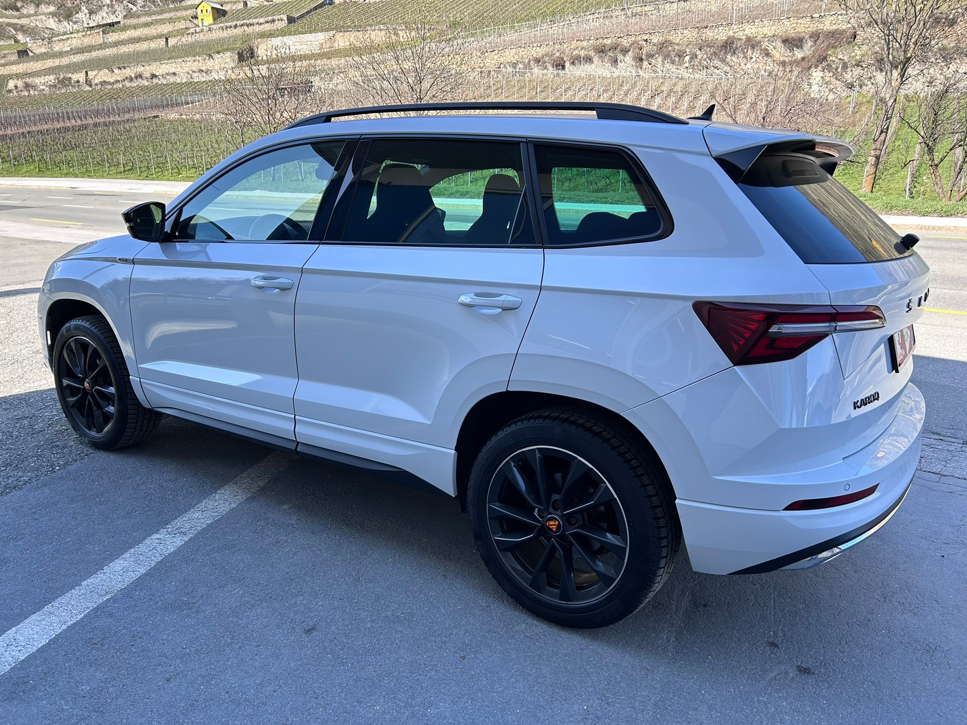 SKODA Karoq 2.0 TSI SportLine 4x4 DSG - 4