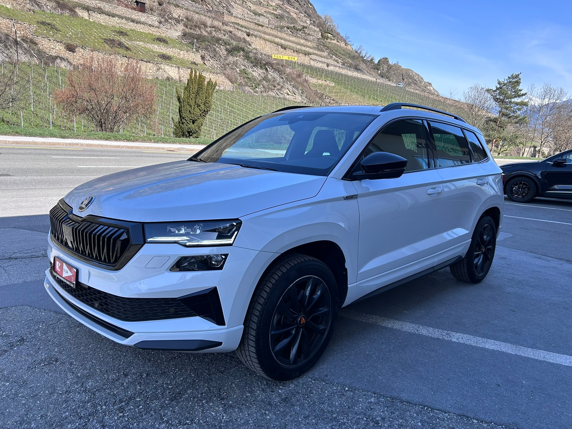 SKODA Karoq 2.0 TSI SportLine 4x4 DSG