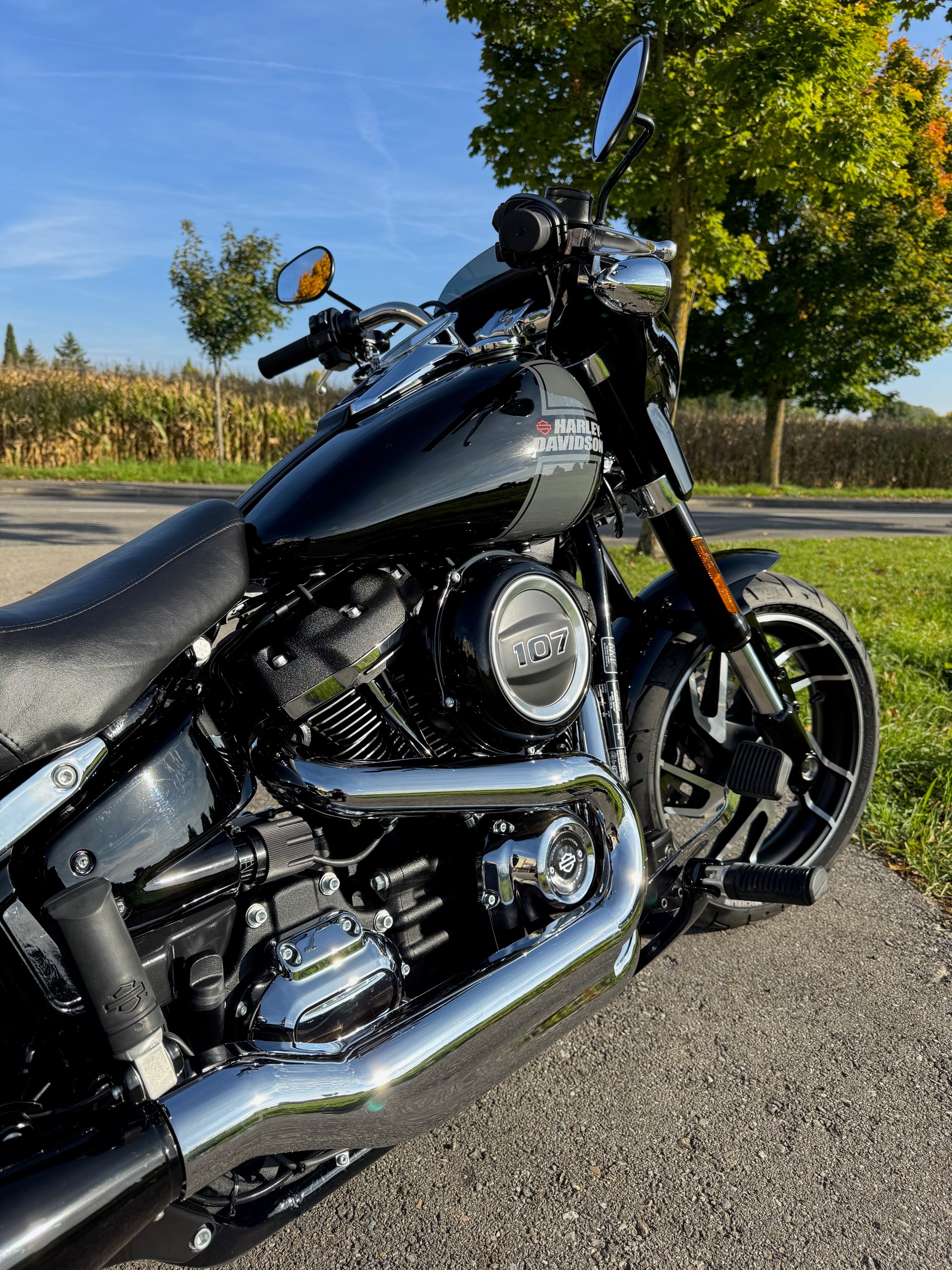 HARLEY-DAVIDSON FLSB Sport Glide 107 ABS - 4