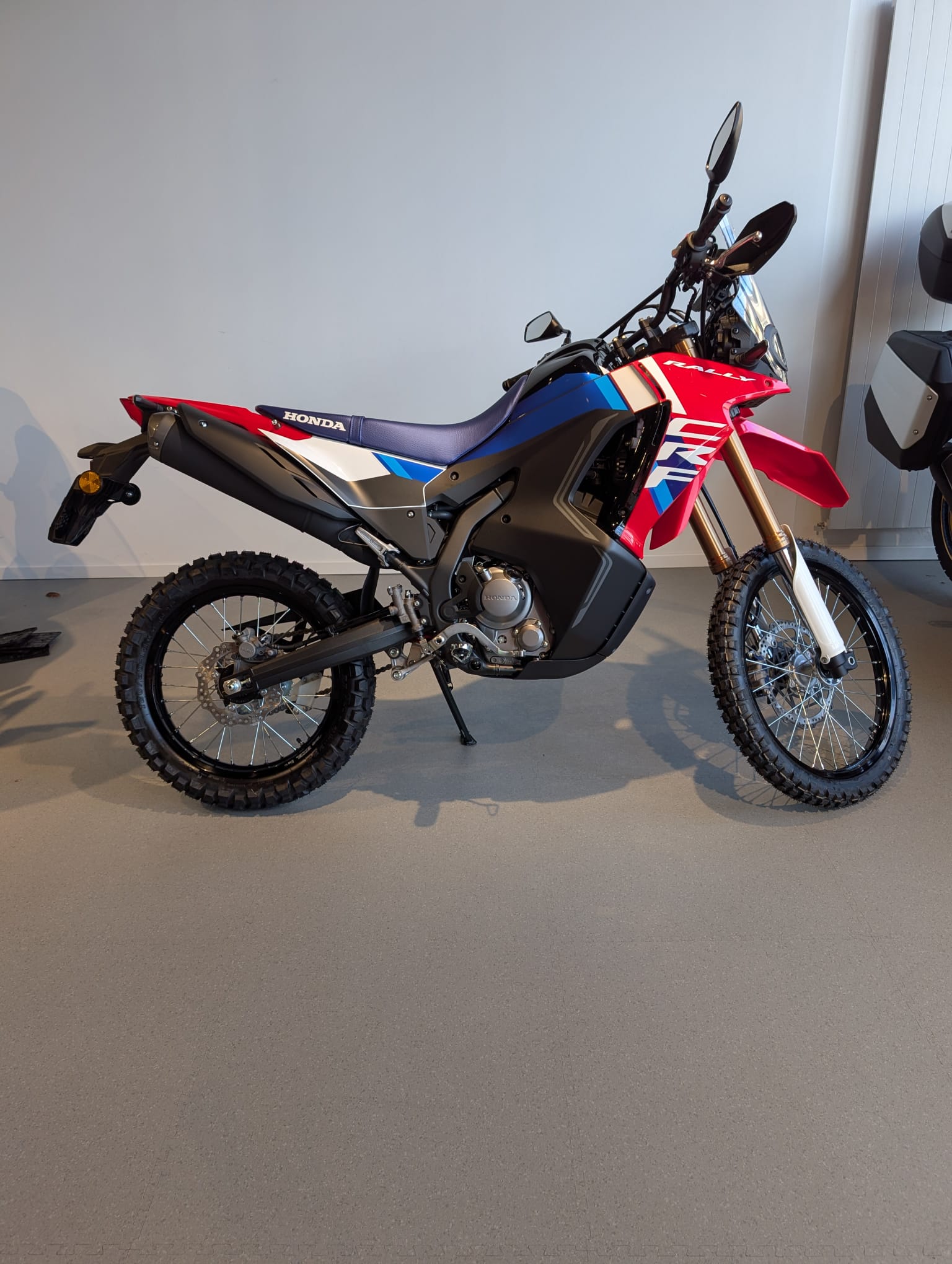 HONDA CRF 300 RL Rally - 2